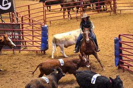 Ranch Sorting Event