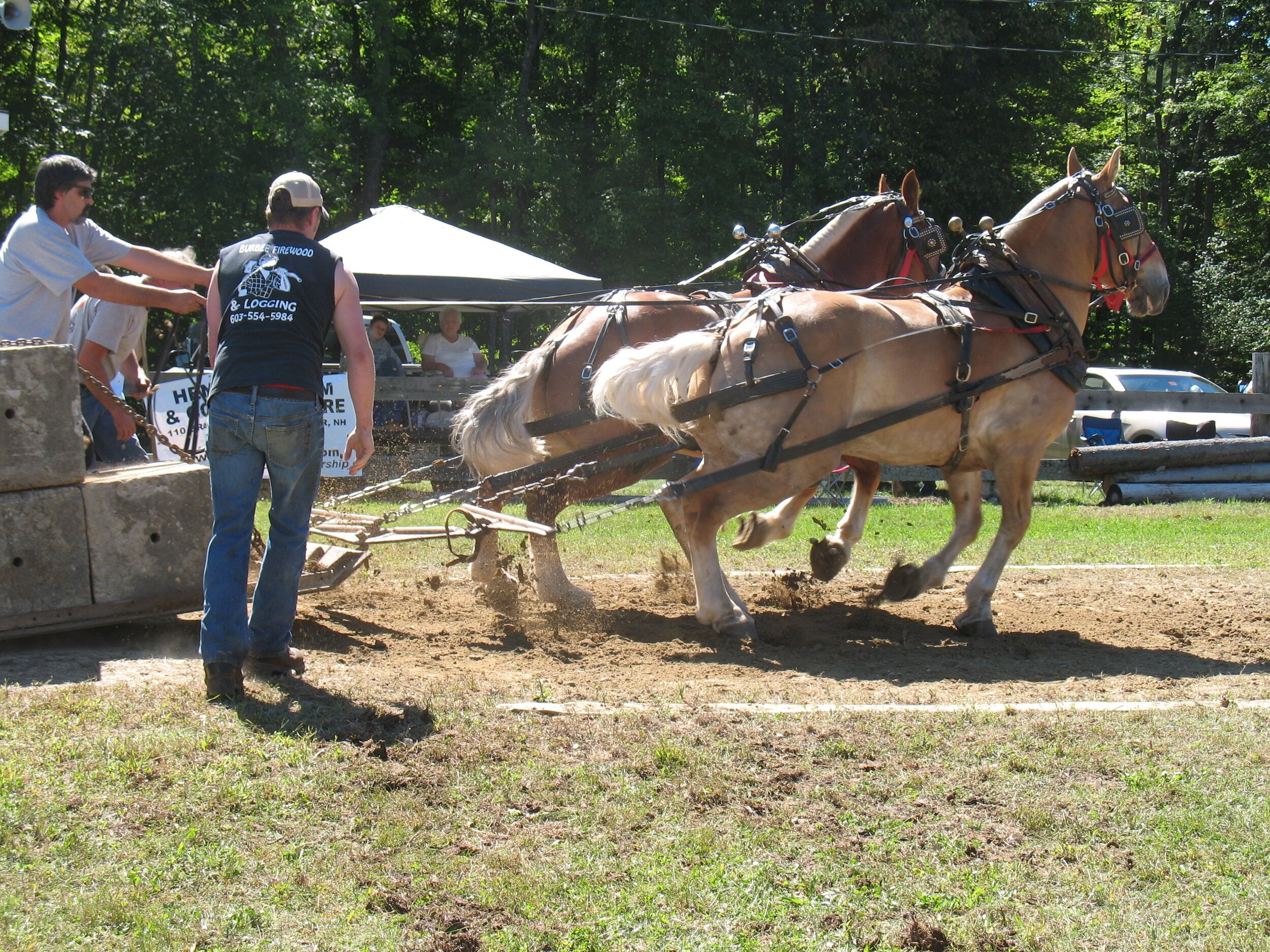 Fair Schedule — Hillsborough County Agricultural Fair