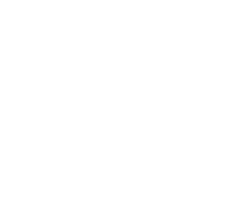 EPOCH TIMES.png