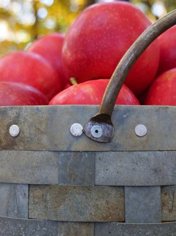 Numbers — Peppercorn Products