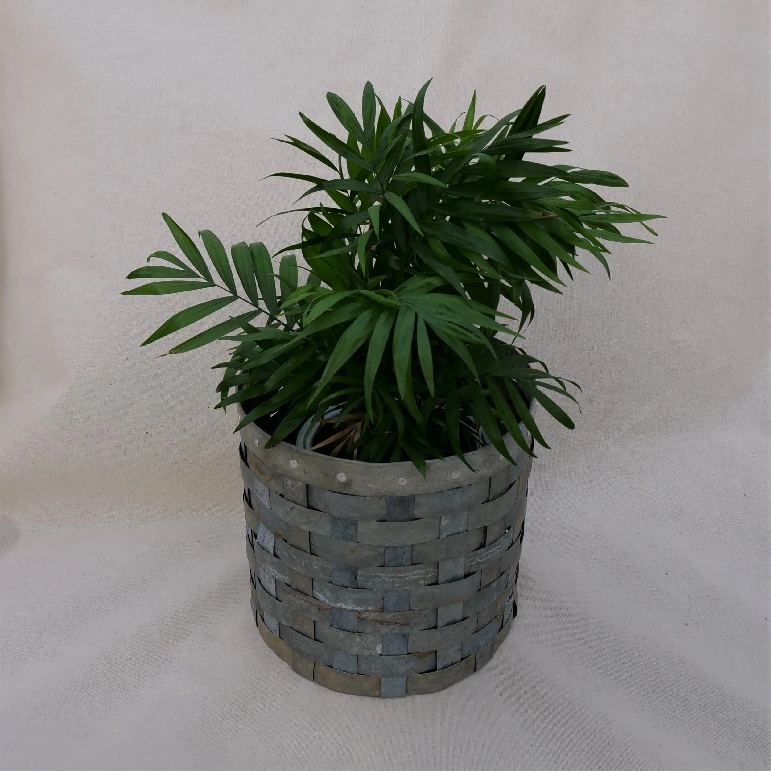 Numbers — Peppercorn Products