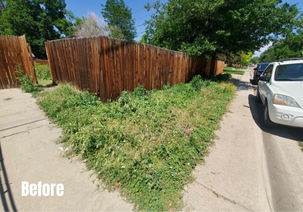 Before - Complete Yard Cleanup w/ Landscape Rock Denver