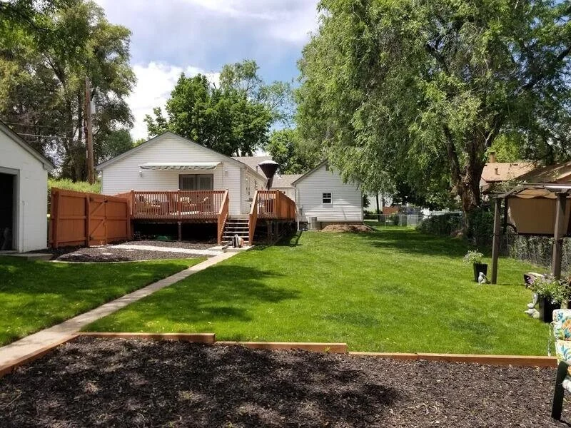 After - Complete Backyard Landscape Cleanup/Makeover Lakewood