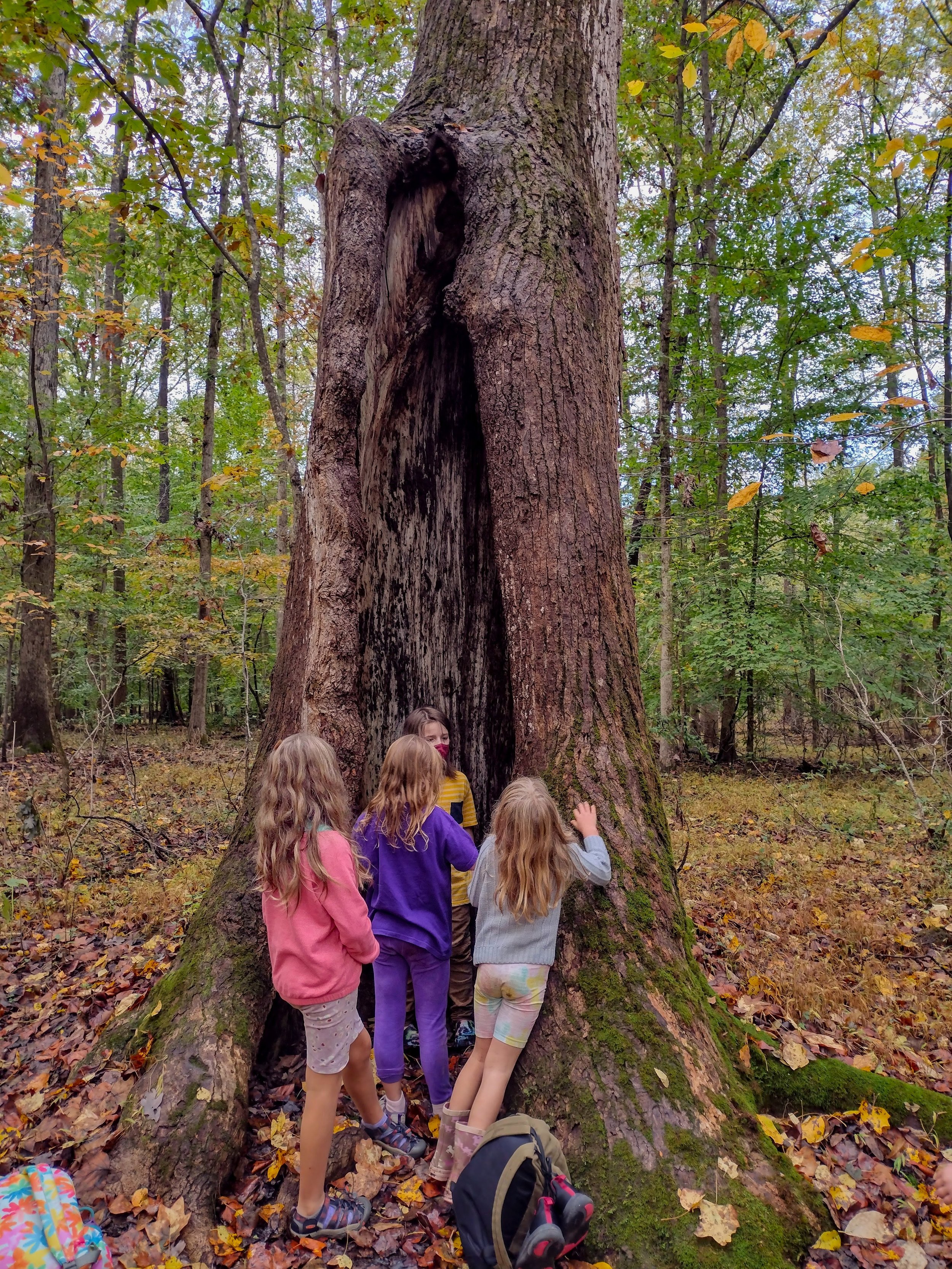 IMG_20211029_125244502_HDR.jpg