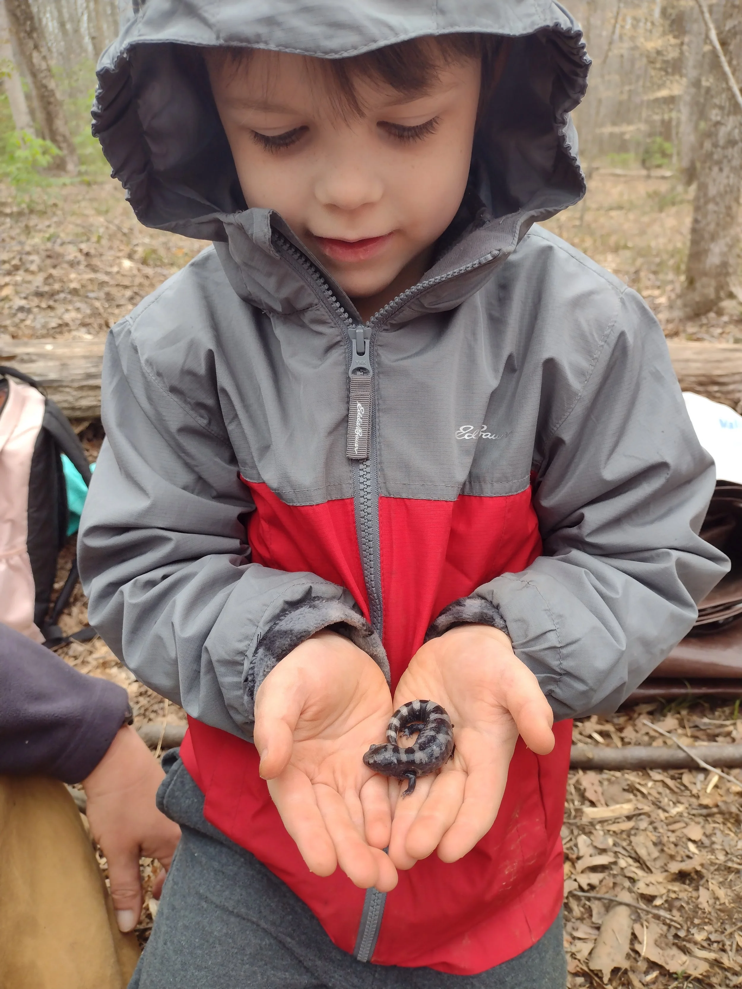 February 16, 2026 (Presidents' Day)