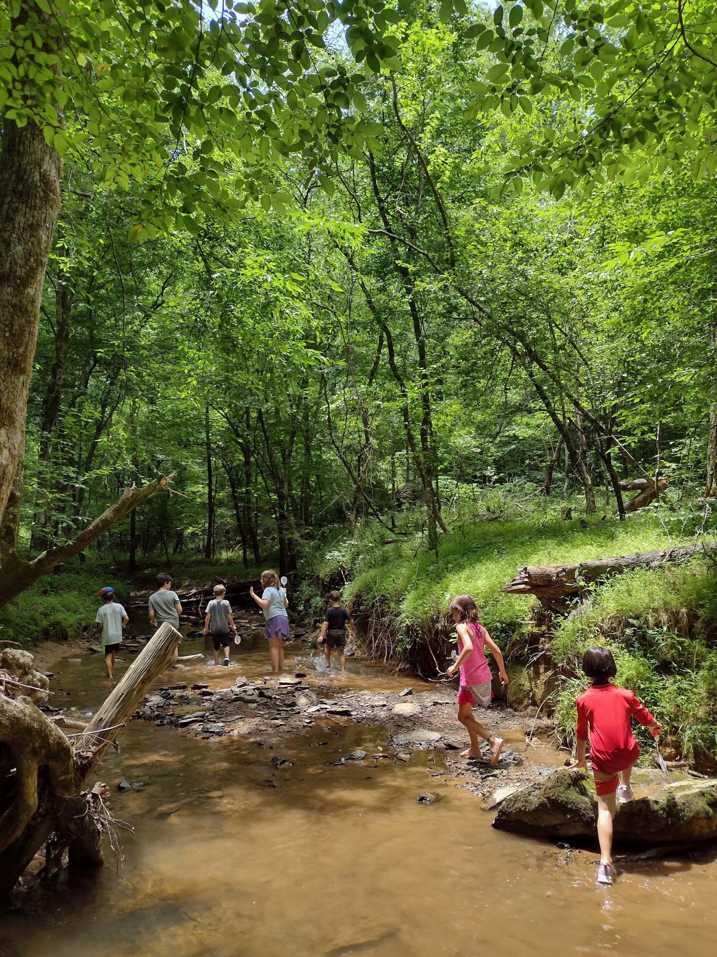 NC Triangle Homeschool Programs