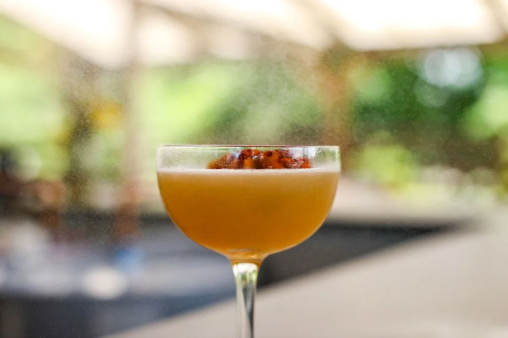 A cocktail in a coupe glass garnished with a cherry or similar fruit, with a blurred outdoor background.
