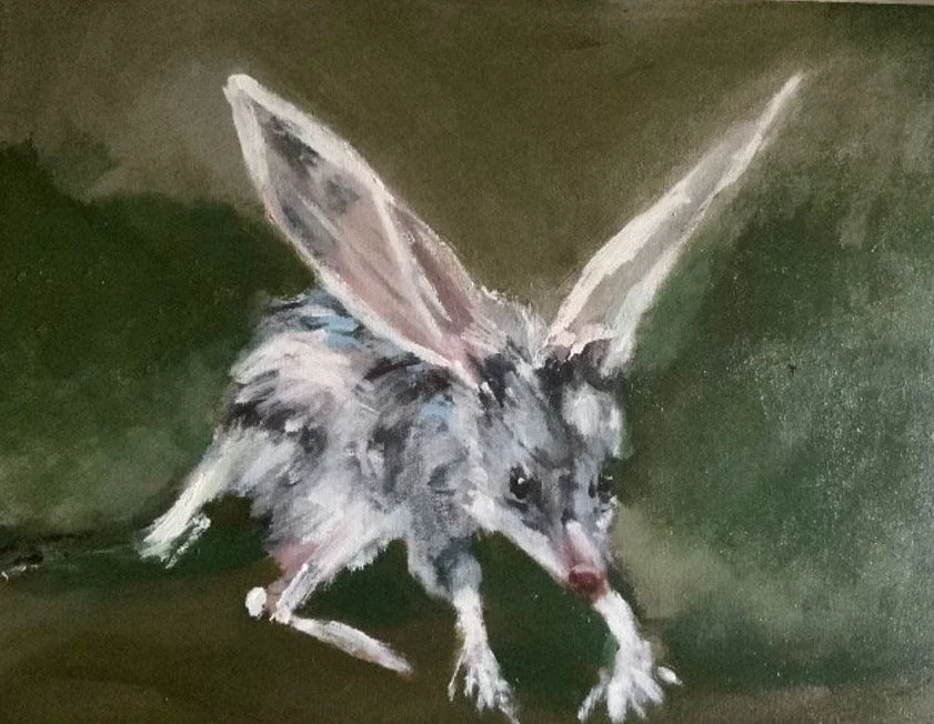 Bilby, Oil on canvas, 2024