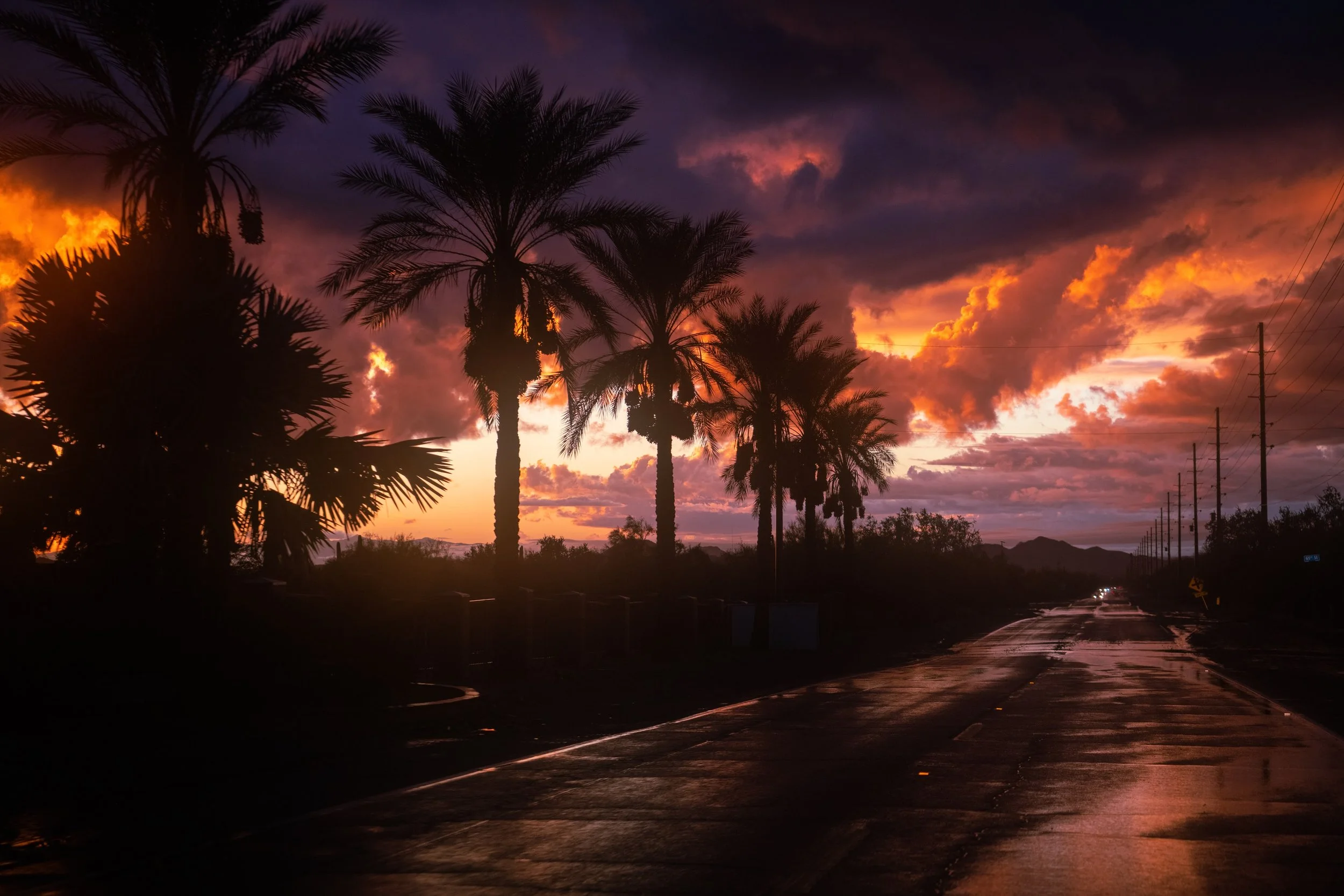 Sunset sky with dark clouds and orange-pink hues, silhouettes of palm trees and power lines along a wet road.