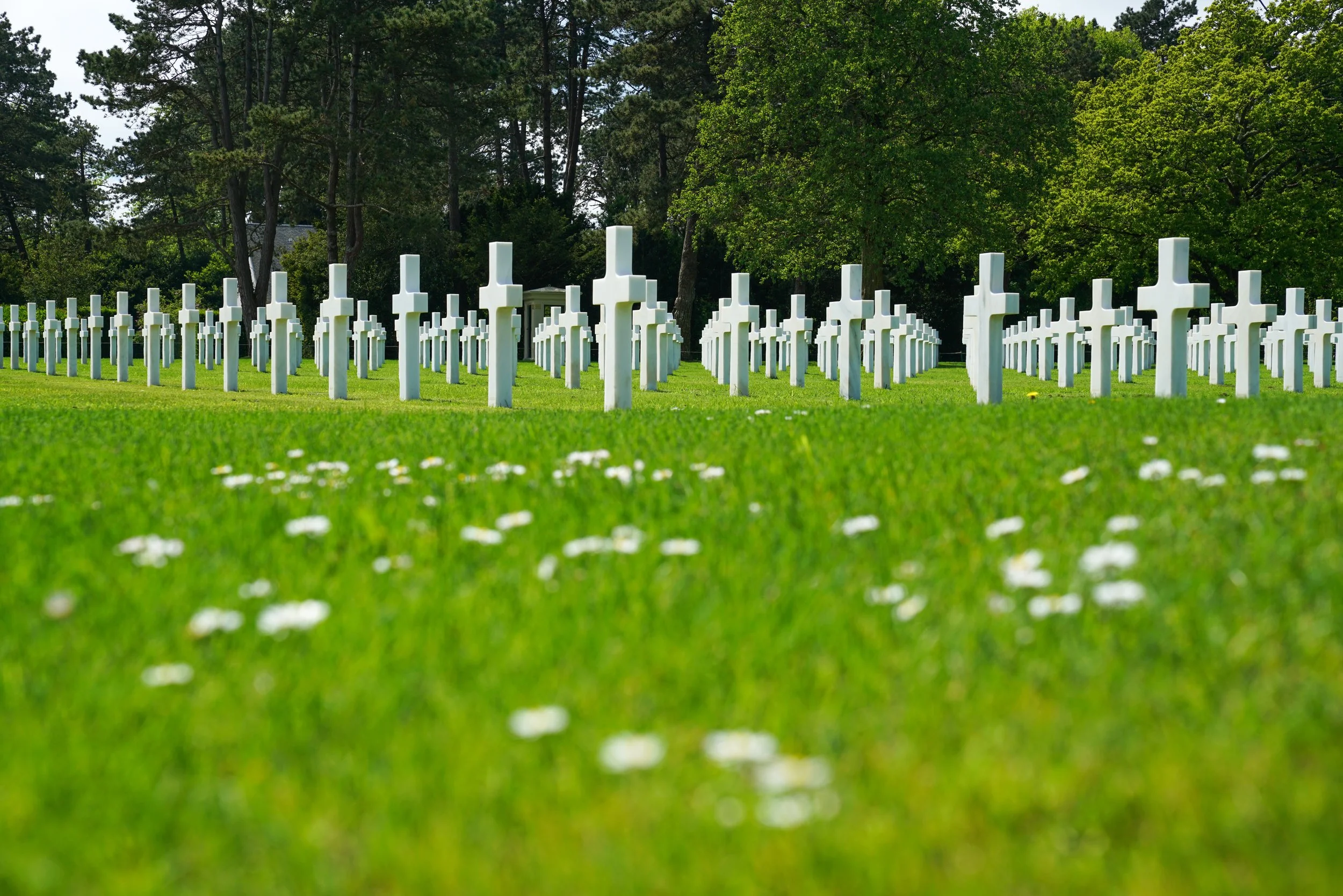 Several rows of white crosses in a grassy field, likely a military cemetery, with trees in the background.