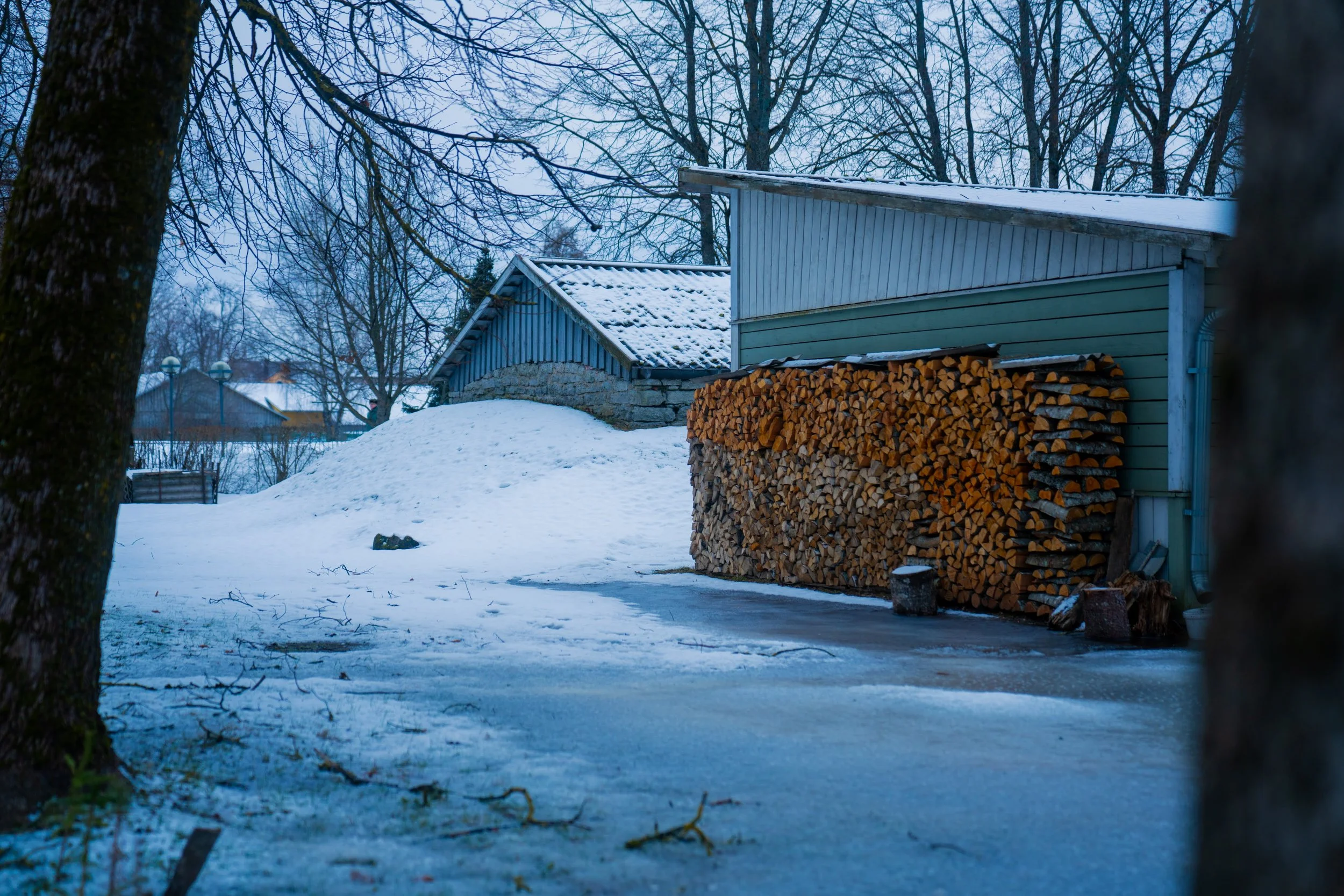 Snow-covered yard with stacked firewood against a green and white shed, leafless trees in the background, and a snow-covered roof in a winter setting.