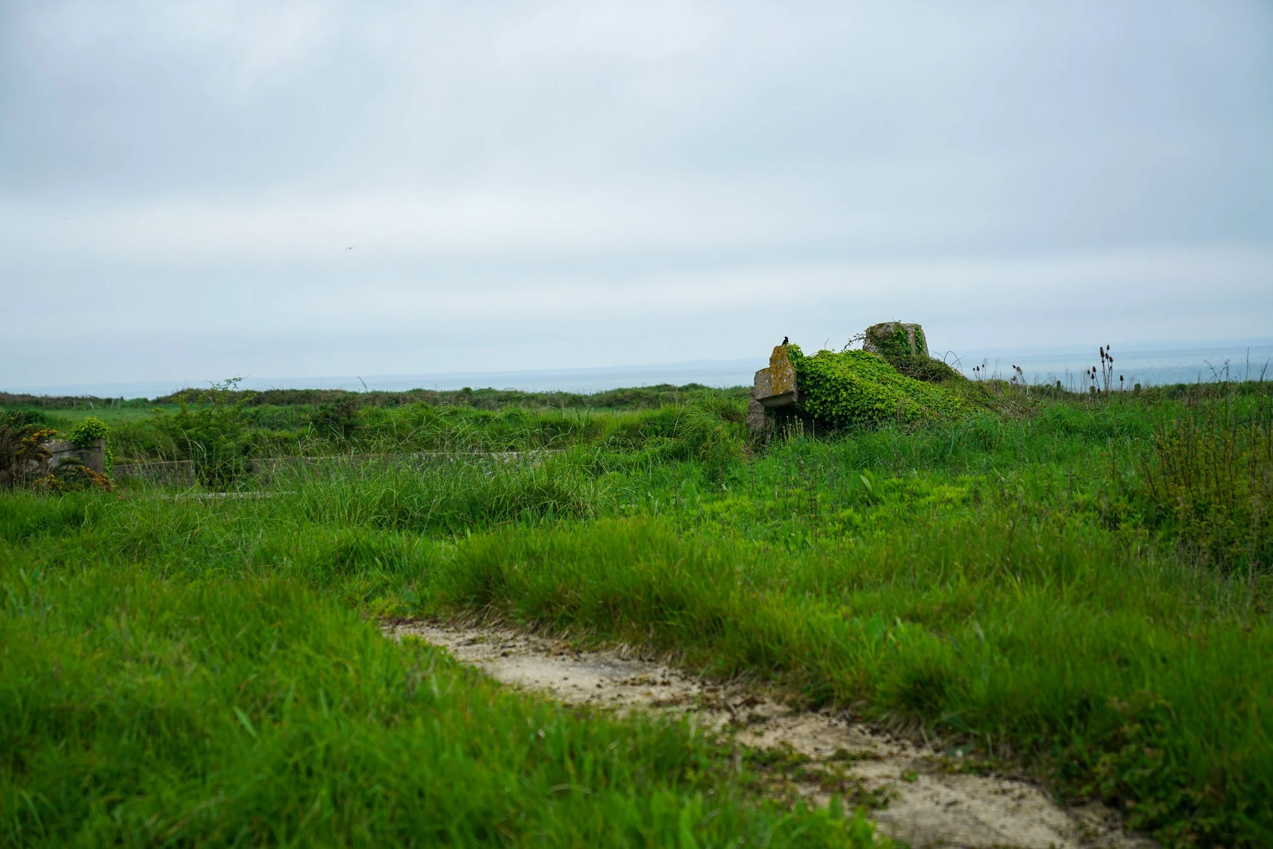 A dirt path through lush green grass leading to ancient stone ruins overgrown with plants, with a cloudy sky in the background.