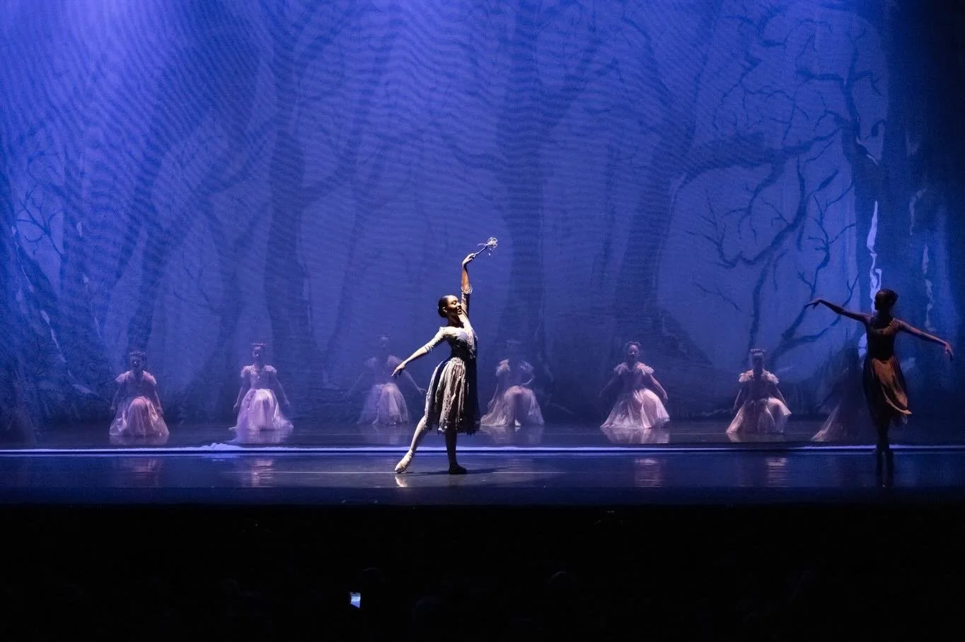 ✨As the curtain falls on 2025, we&rsquo;re filled with gratitude for our 27th year of artistry, dedication, and community.✨

Thank you to our dancers, musicians, volunteers, supporters, and audiences who made every moment onstage possible.
We can&rsq