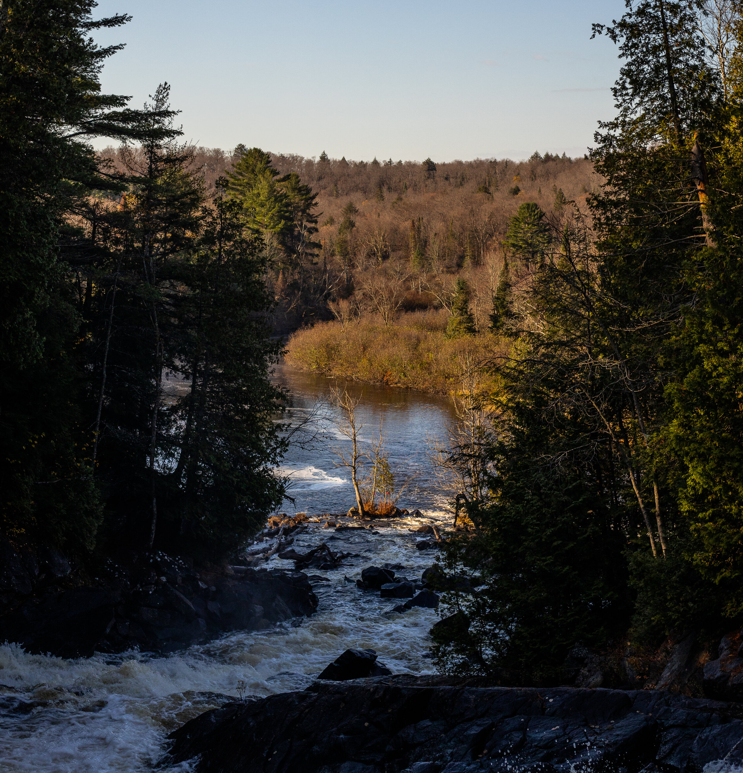 20201016-AAA_1235.jpg