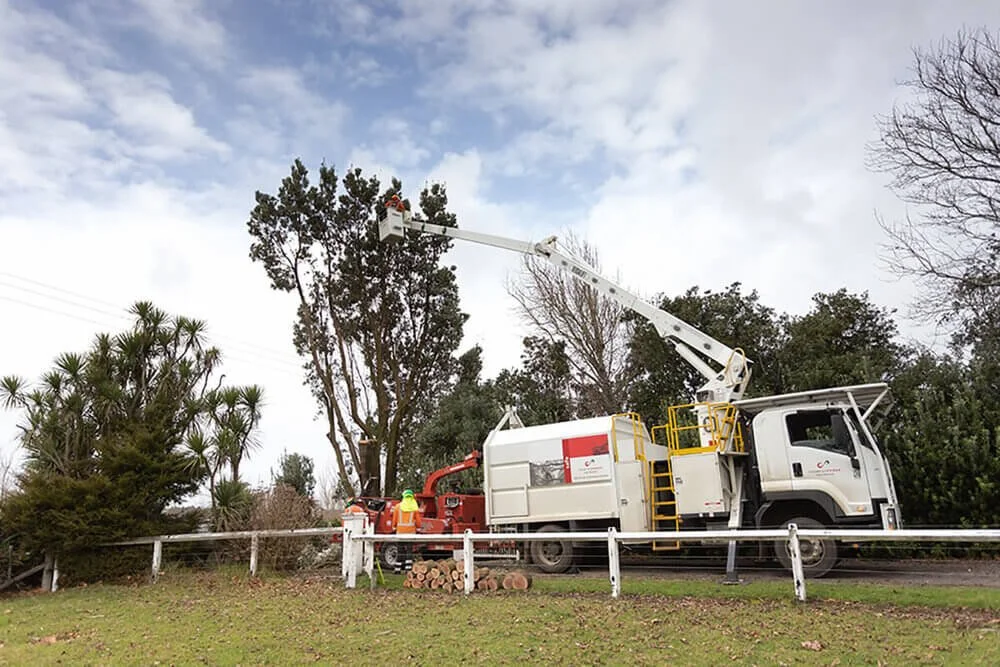 SafeTrim Requests Counties Energy