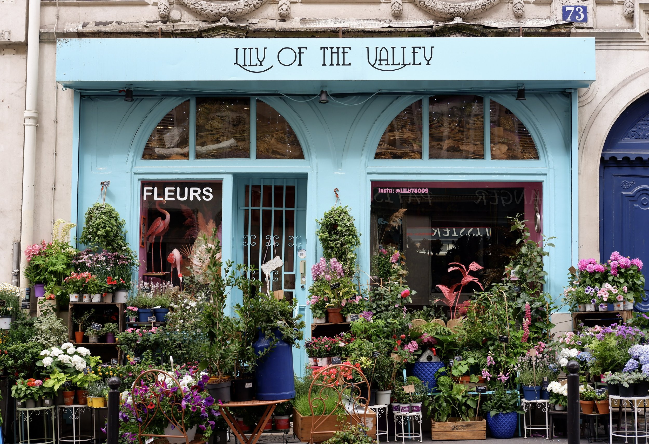  lily of the valley flower shop in paris france   