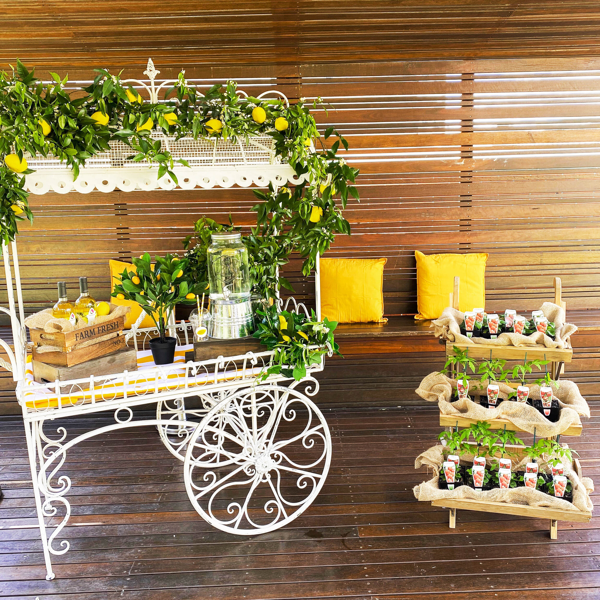 Promotional additional-4.jpg