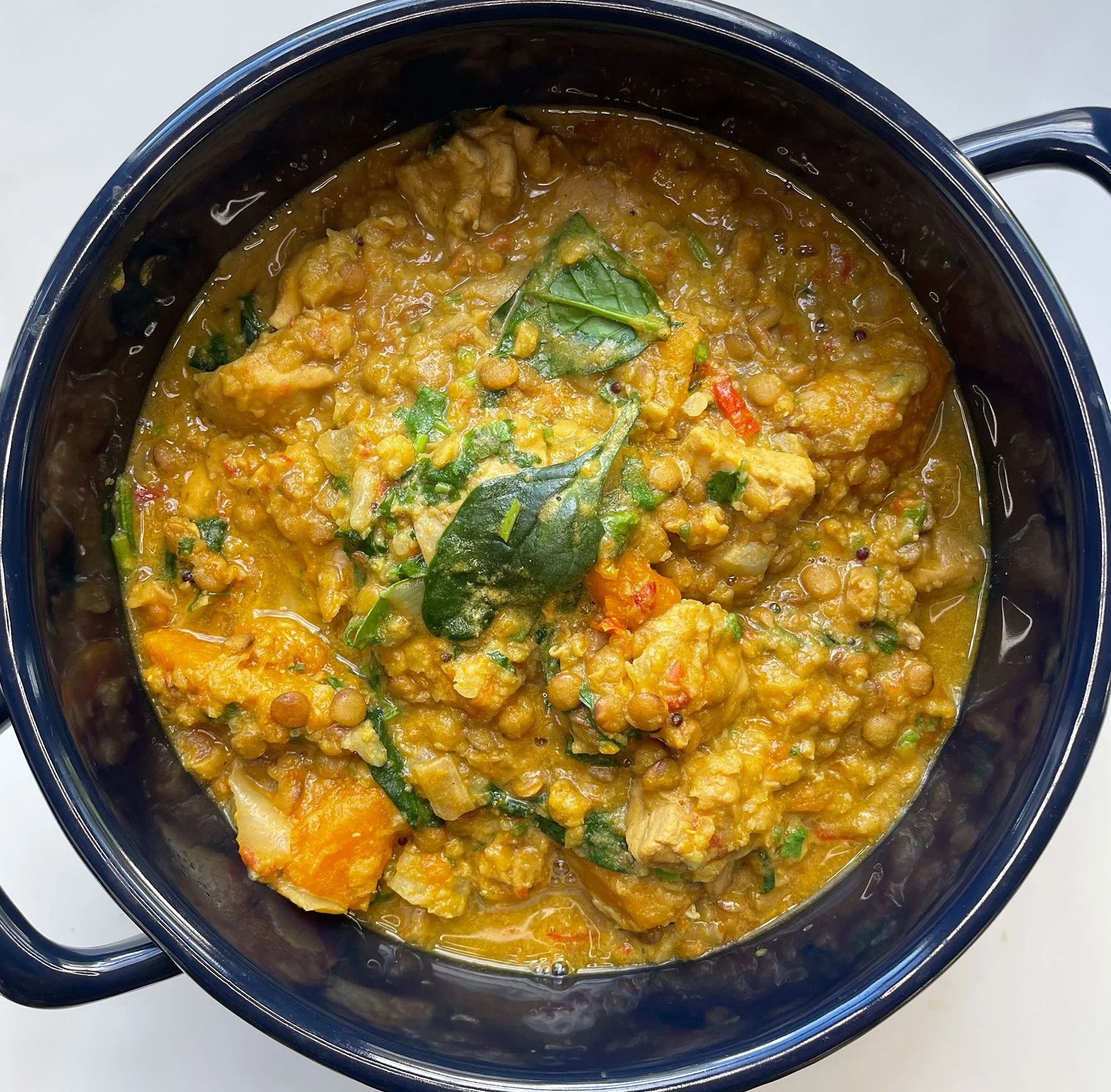 Mains – Chicken lentil pumpkin curry and rice pilaf (serves 2)