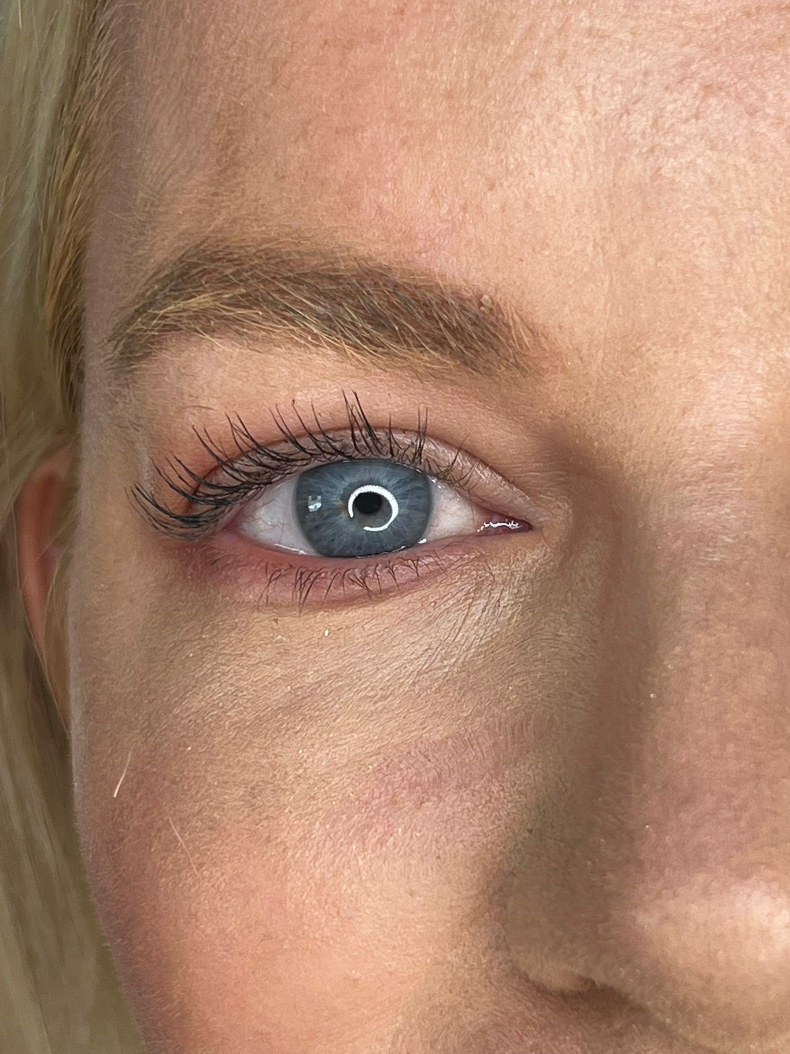 Caterpillar Eyebrows — Caroline Stanbury