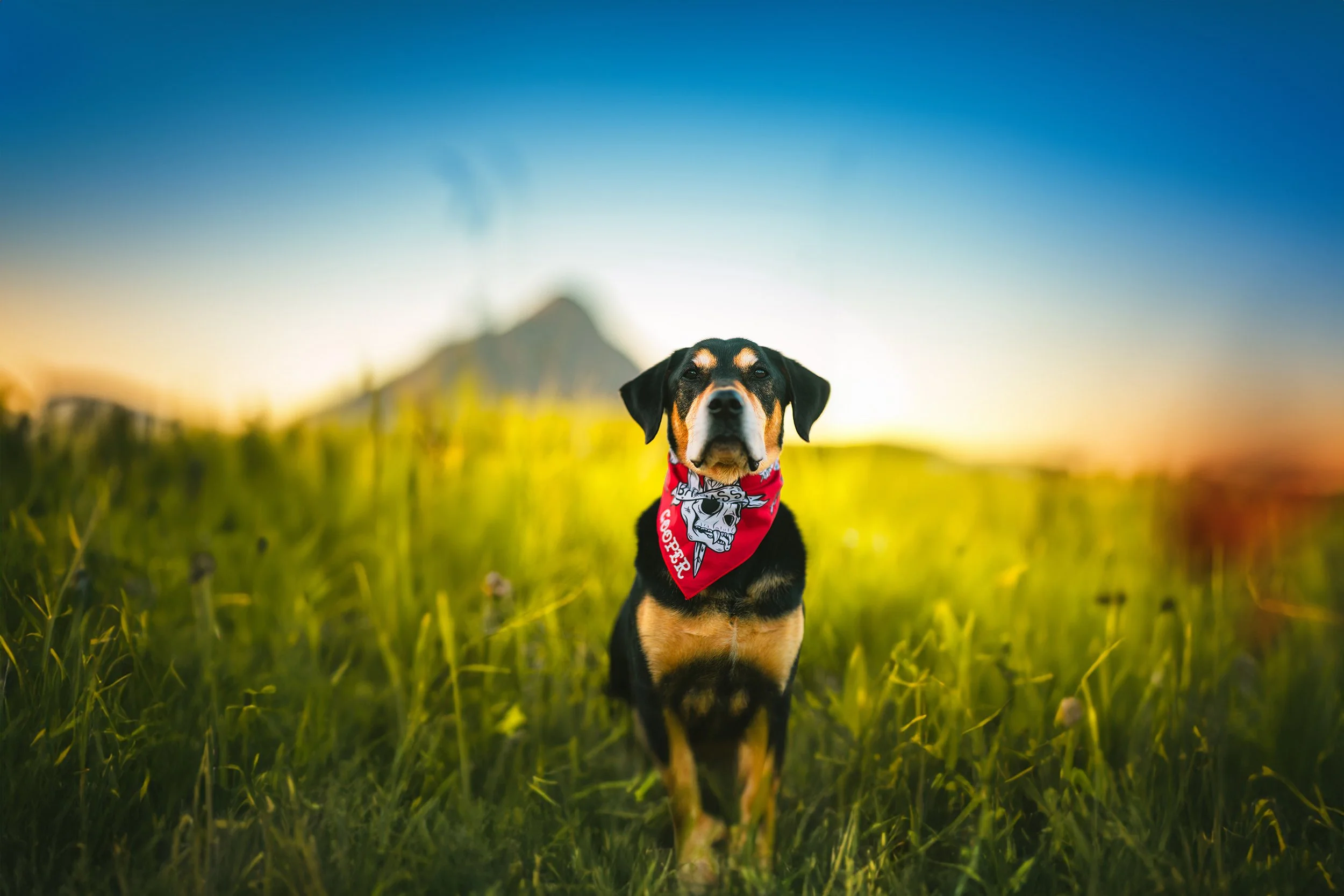 WebIZA09579 - Copy copy.jpg