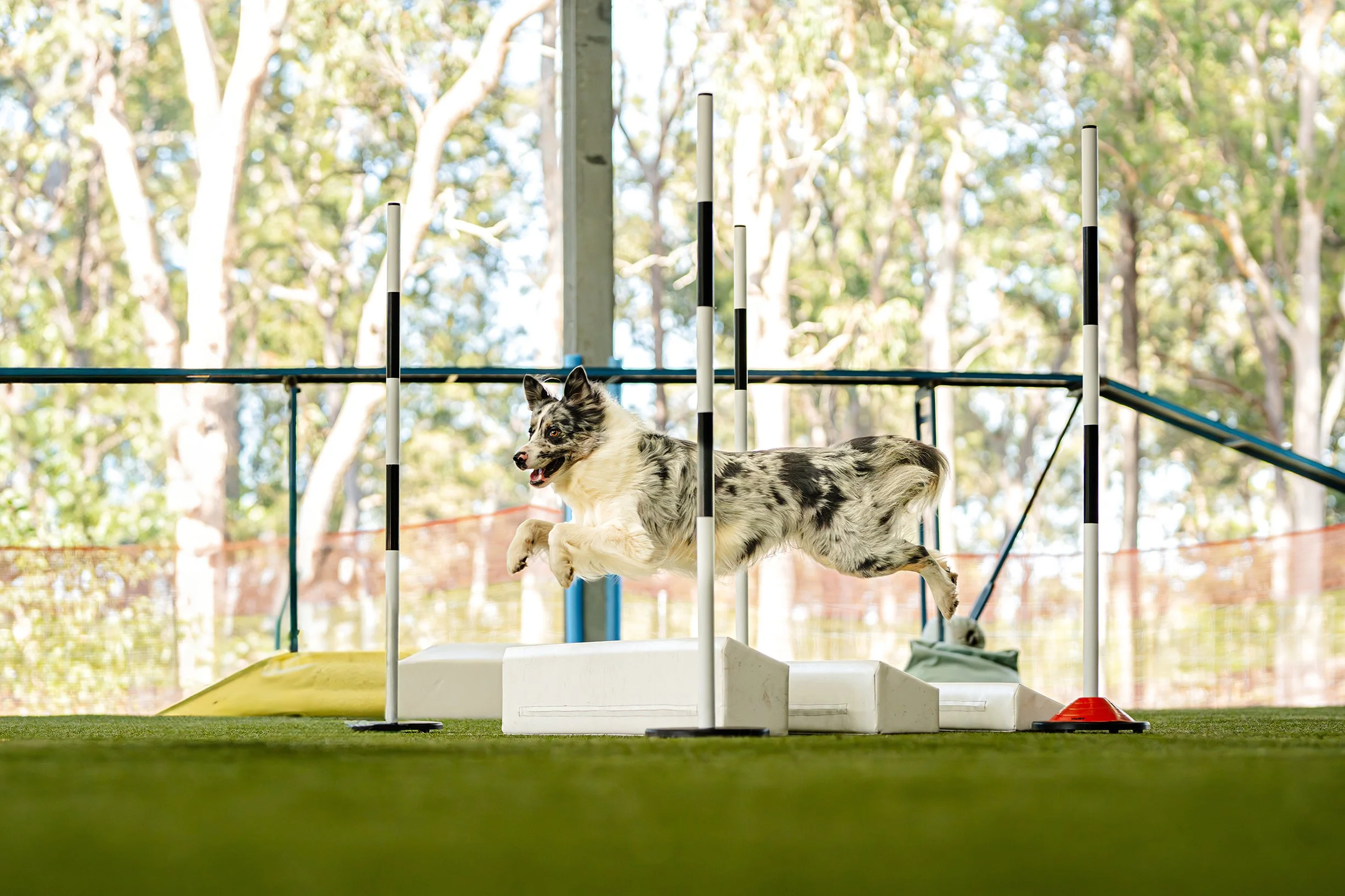 WebIZA01029-Enhanced-NR-1 copy.jpg