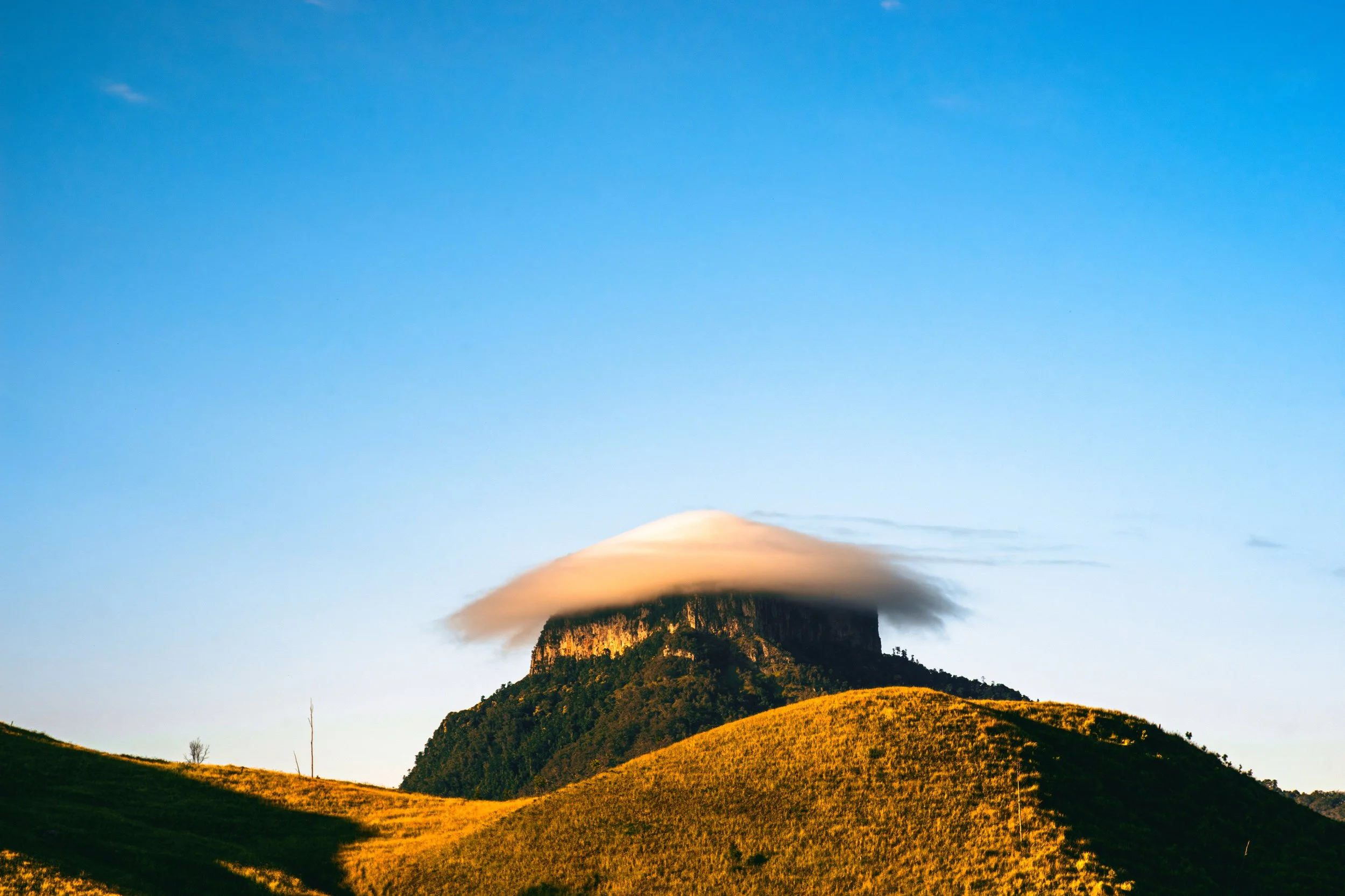 DSC07271-Enhanced-NR copy_TPFS - Copy.jpeg