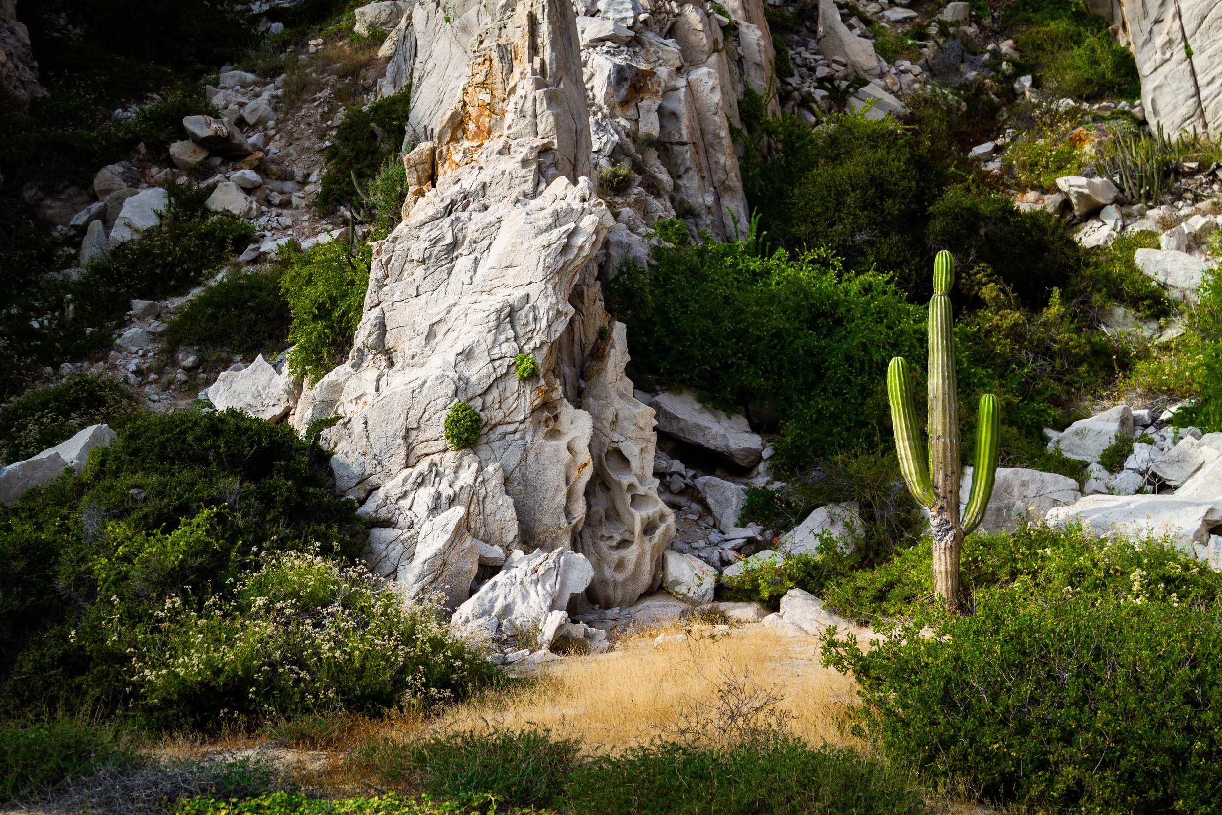 Cabo San Lucas, Mexico