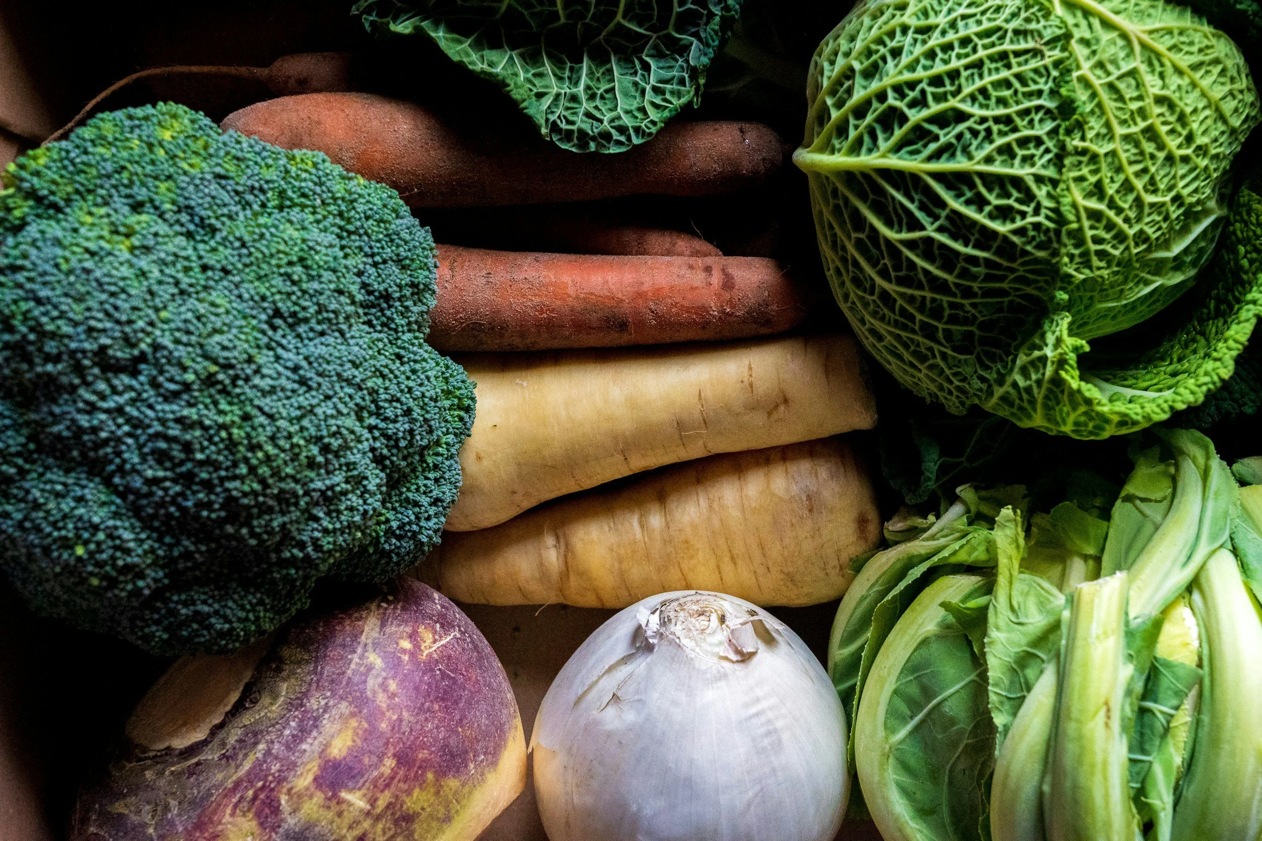 Ayurvedic Winter Immunity: Digestion, Rhythm and the Microbiome