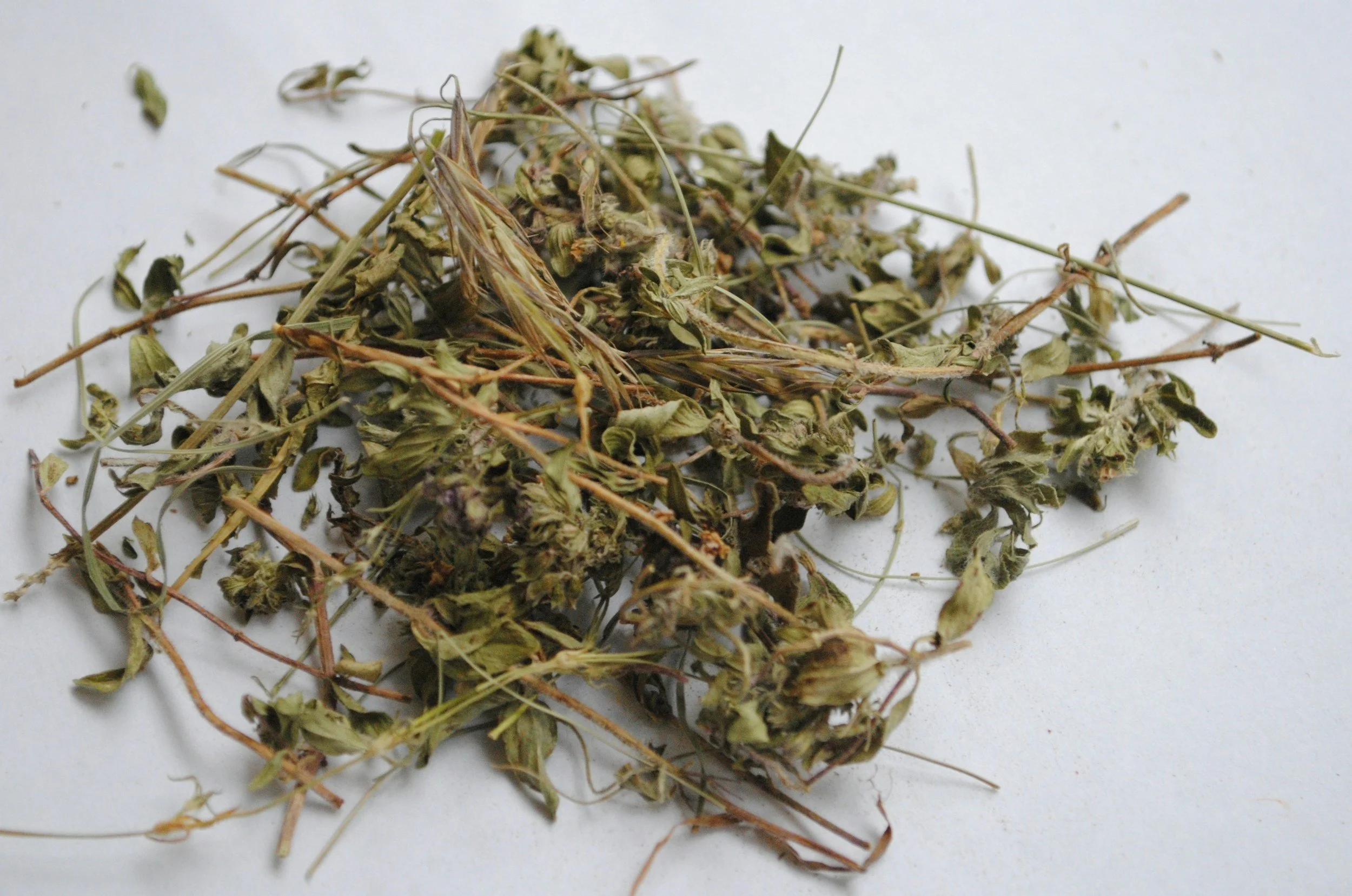 image of dried thyme