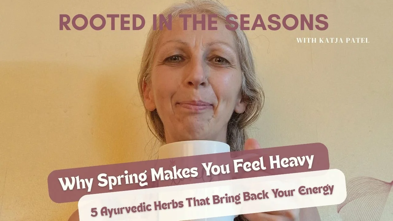 Why Spring Makes You Feel Heavy - 5 Ayurvedic Herbs That Bring Back Your Energy