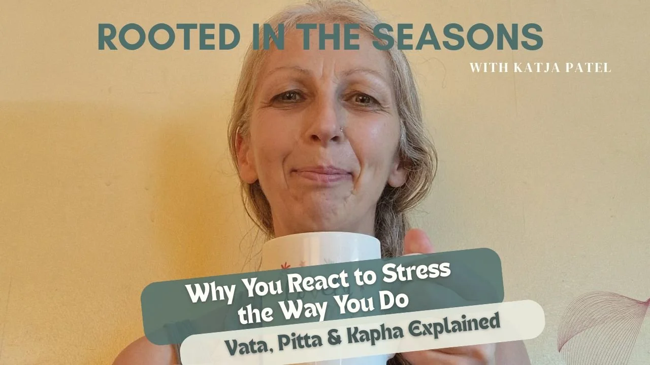 Why You React to Stress the Way You Do (Vata, Pitta &amp; Kapha Explained)