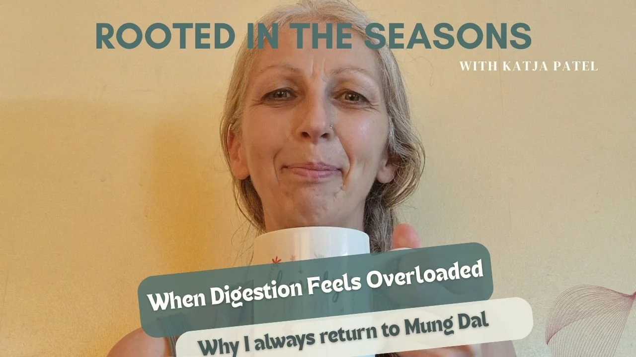 When Digestion Feels Overloaded: Why I Always Return to Mung Dal