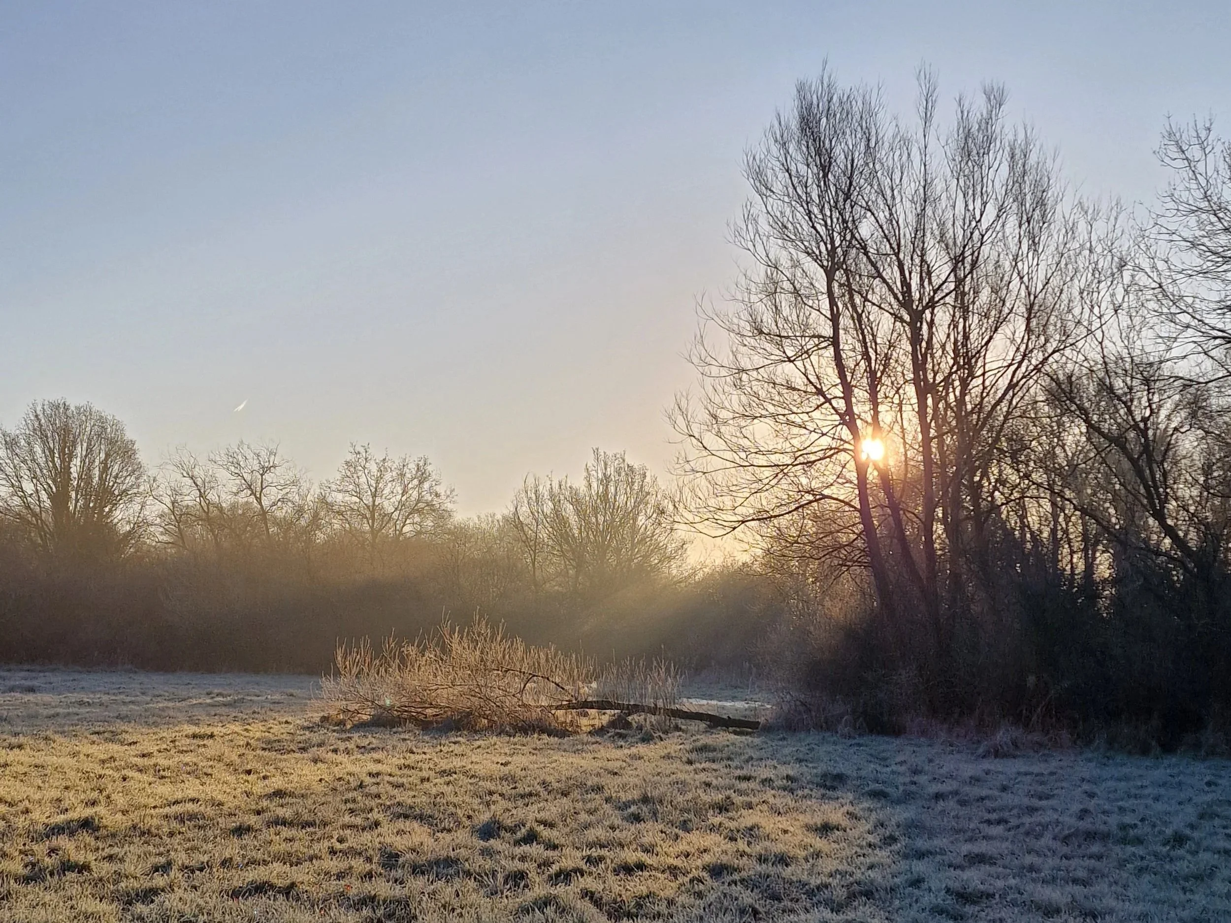 Kapha Dosha Explained: Why Spring Makes You Feel Heavy (and How to Restore Your Energy)