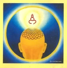 Sahasrara chakra by Shri Balaji Tambe