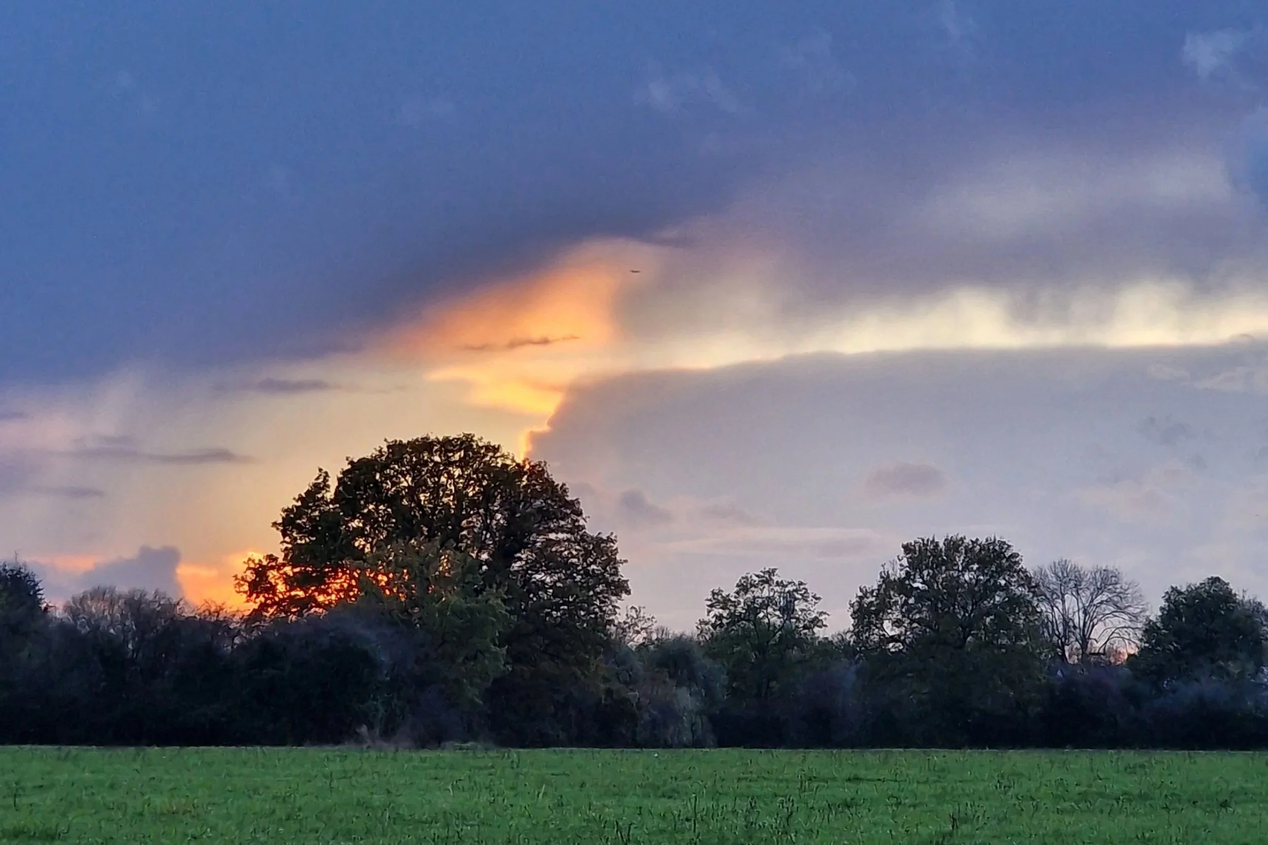 dramatic sunset with dark and orange clouds, bare autumn trees in the background