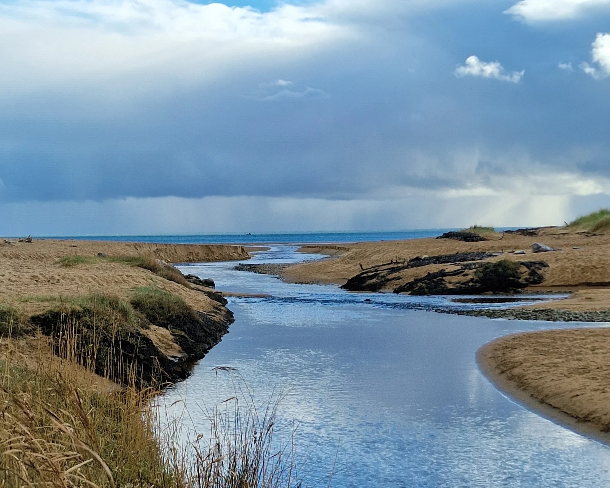 Kleshas &amp; Rhythm: Why You Feel Out of Sync (and How to Find Your Way Back)