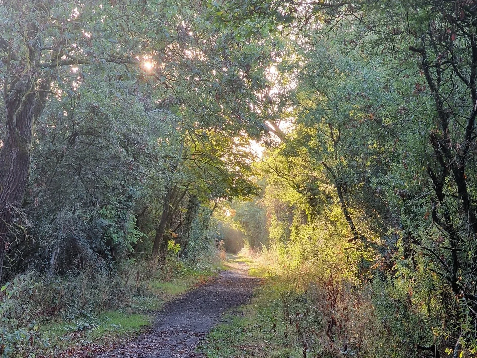 What Happens When We Stop Living with the Seasons?