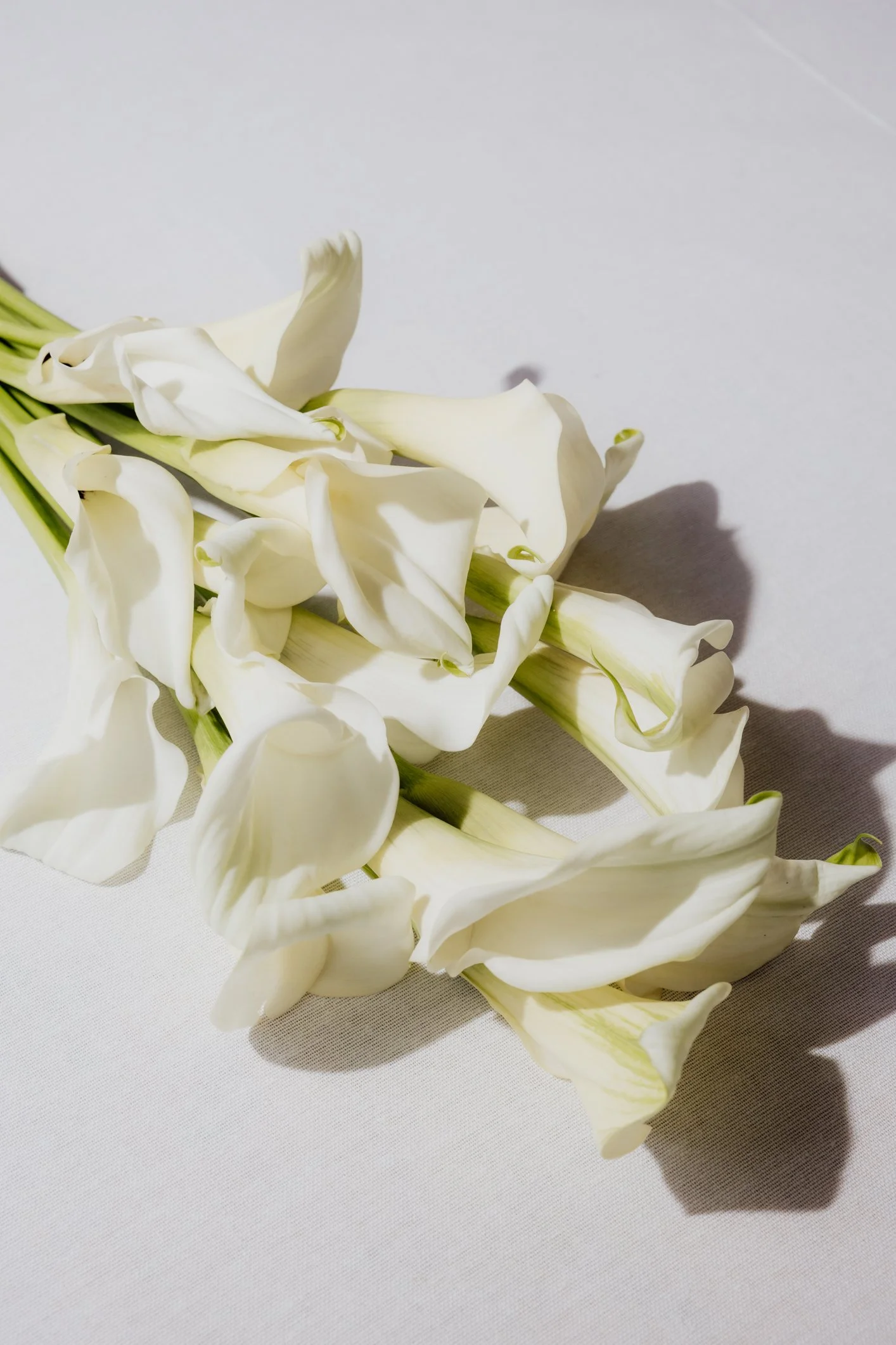 Loose editorial wedding photographer in paris