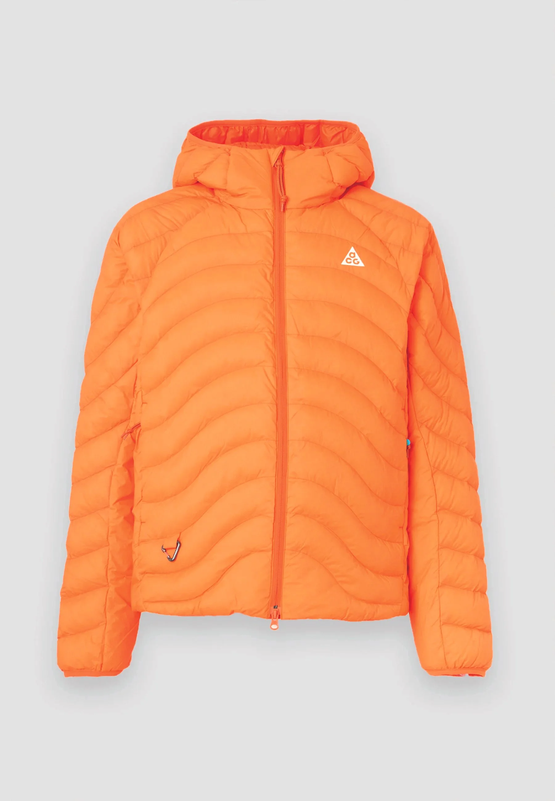 Jacket from Nike ACG for 275 CHF via Zalando (Copy)