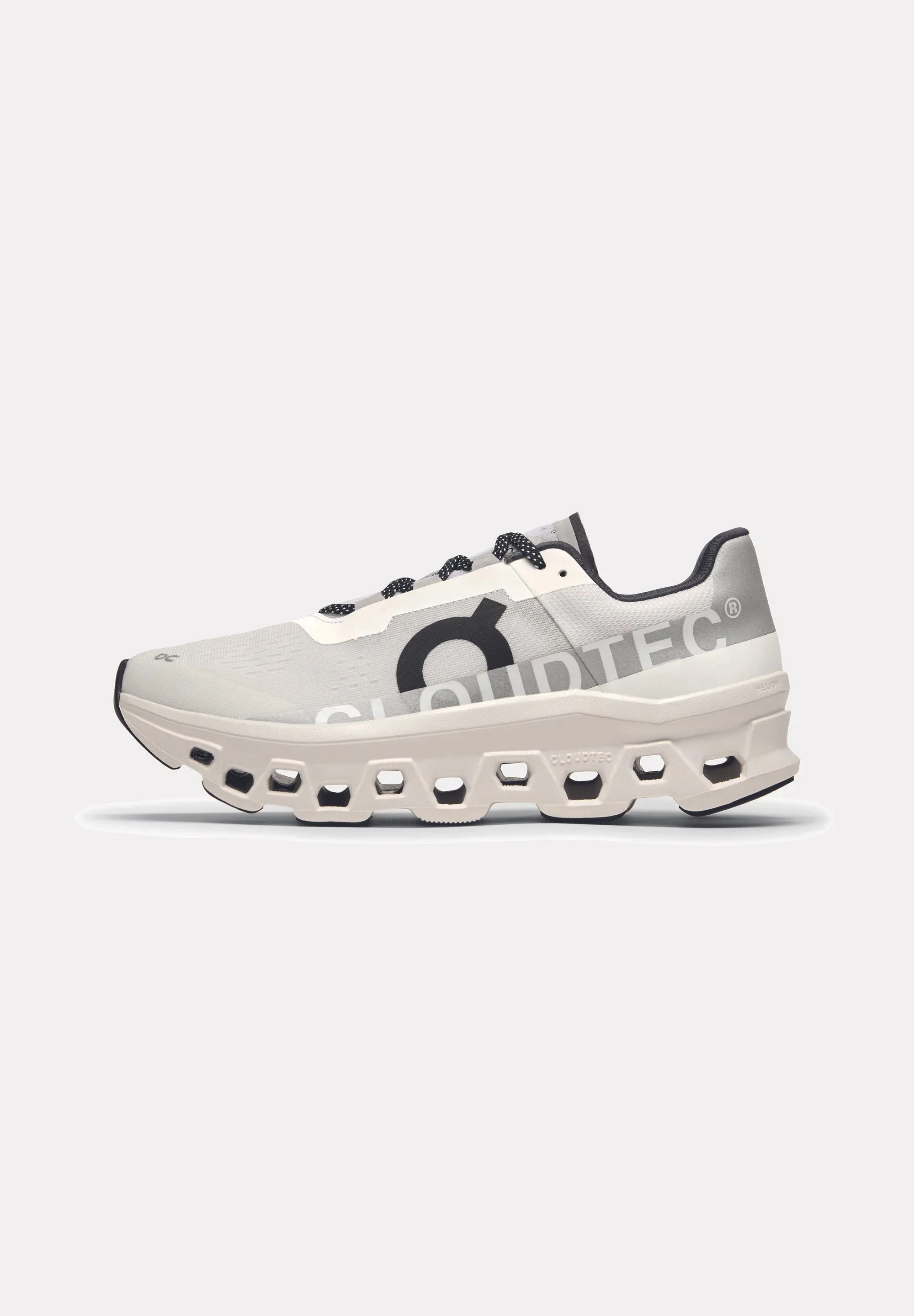 Running Shoe from ON for 230 CHF via Zalando (Copy)