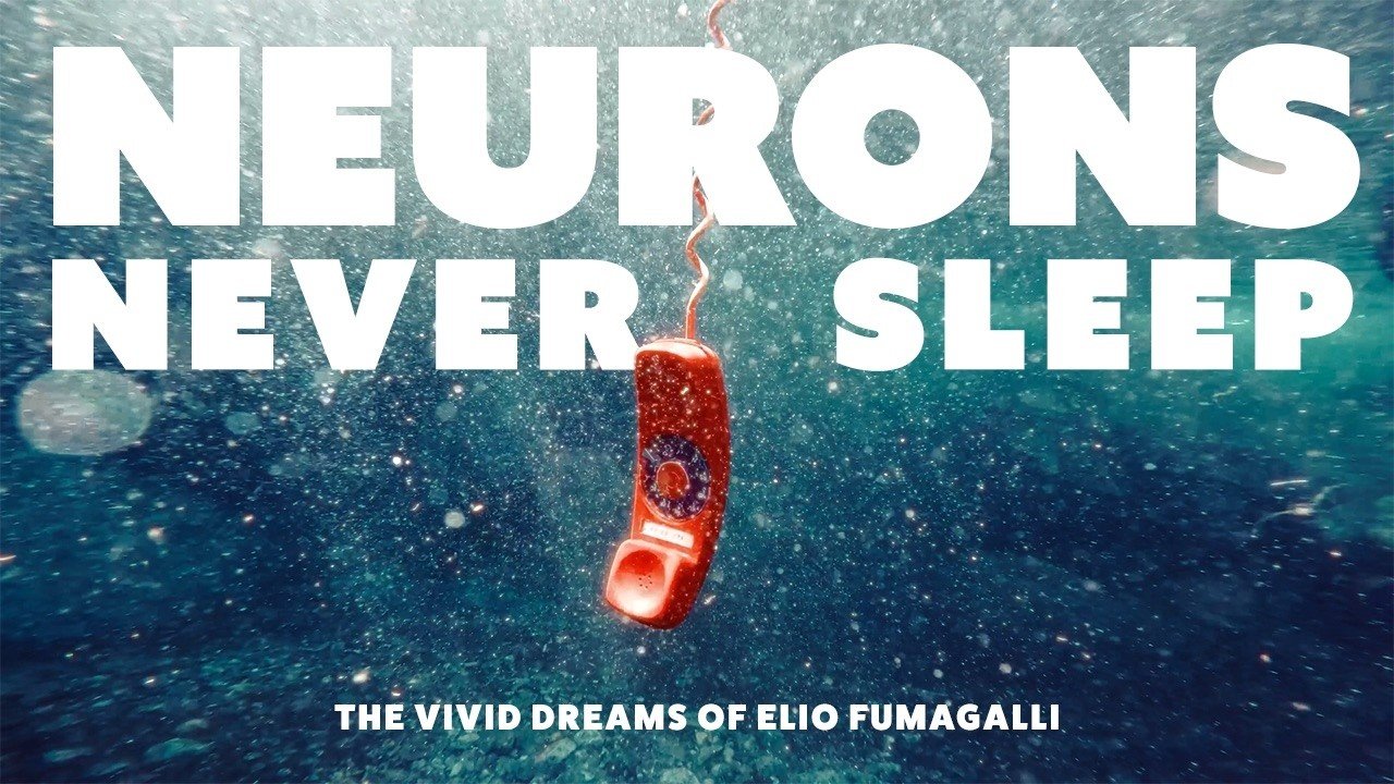 Neurons Never Sleep - Elio Fumagalli