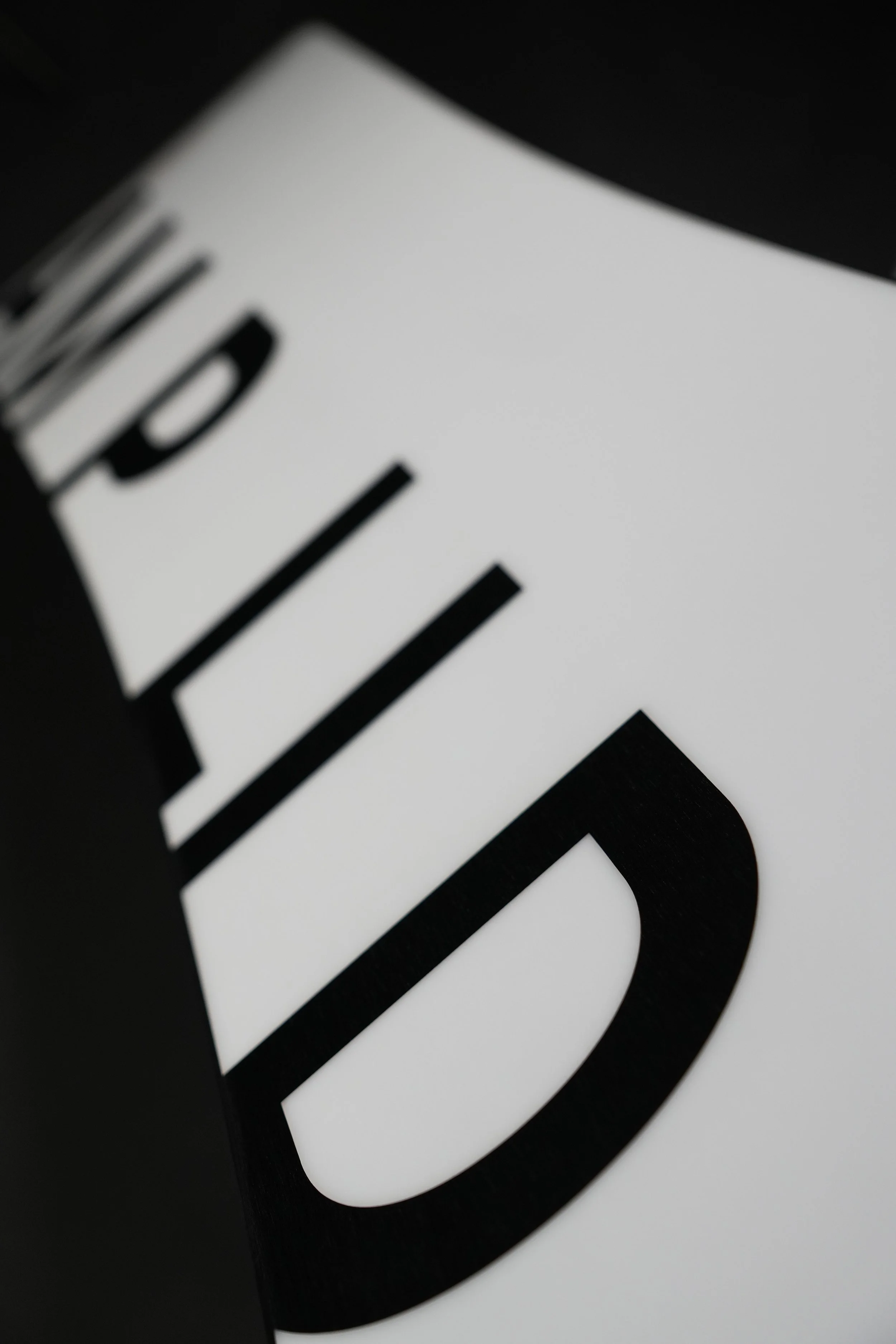 Singular (12).jpg
