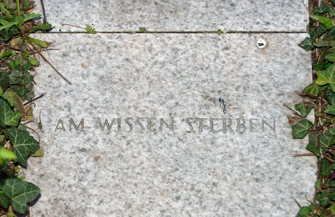 1280px-Peace_memorial_Erlauf_by_Jenny_Holzer_03_-_Am_Wissen_sterben.jpg