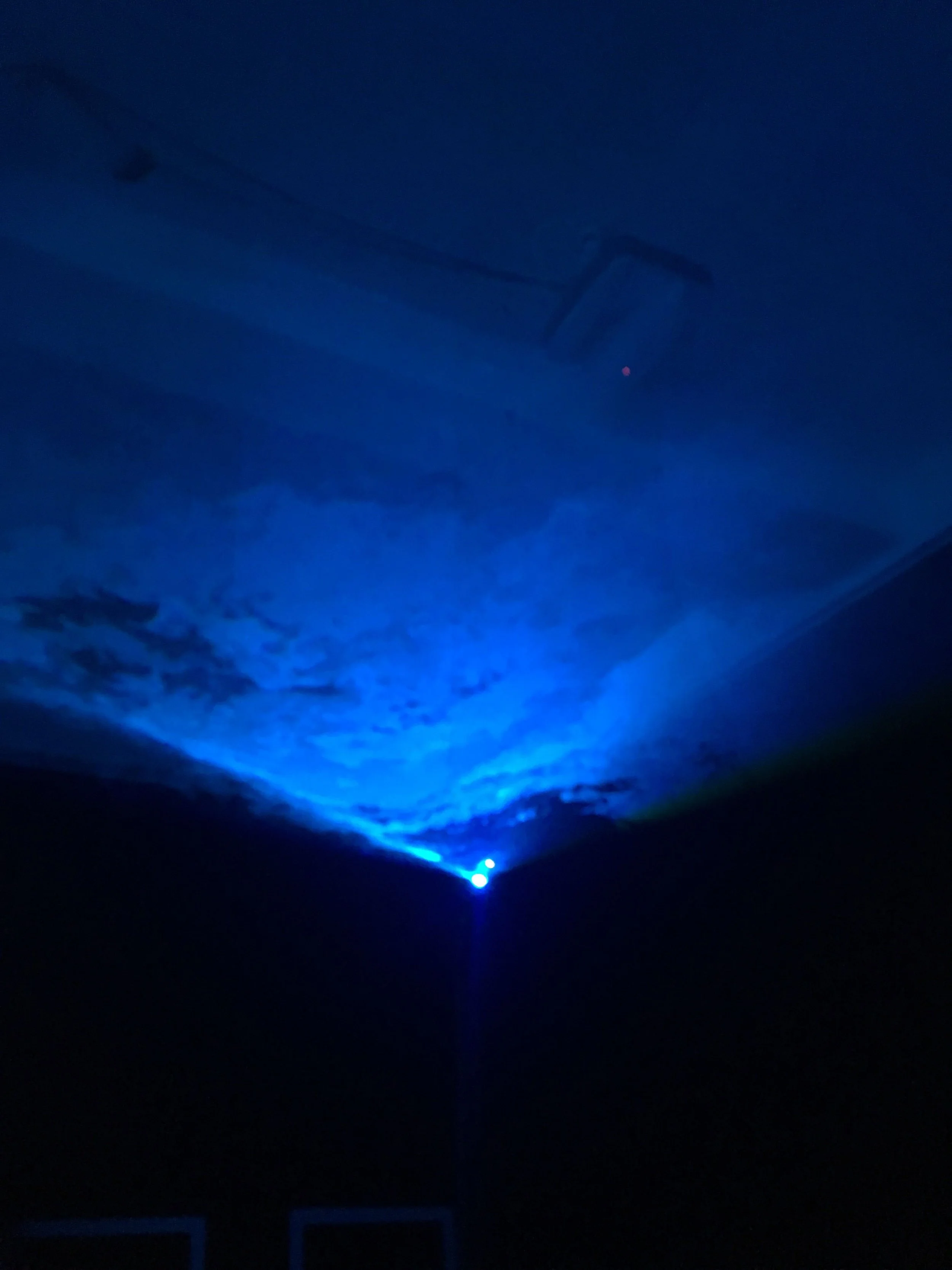 Image from iOS (5).jpg