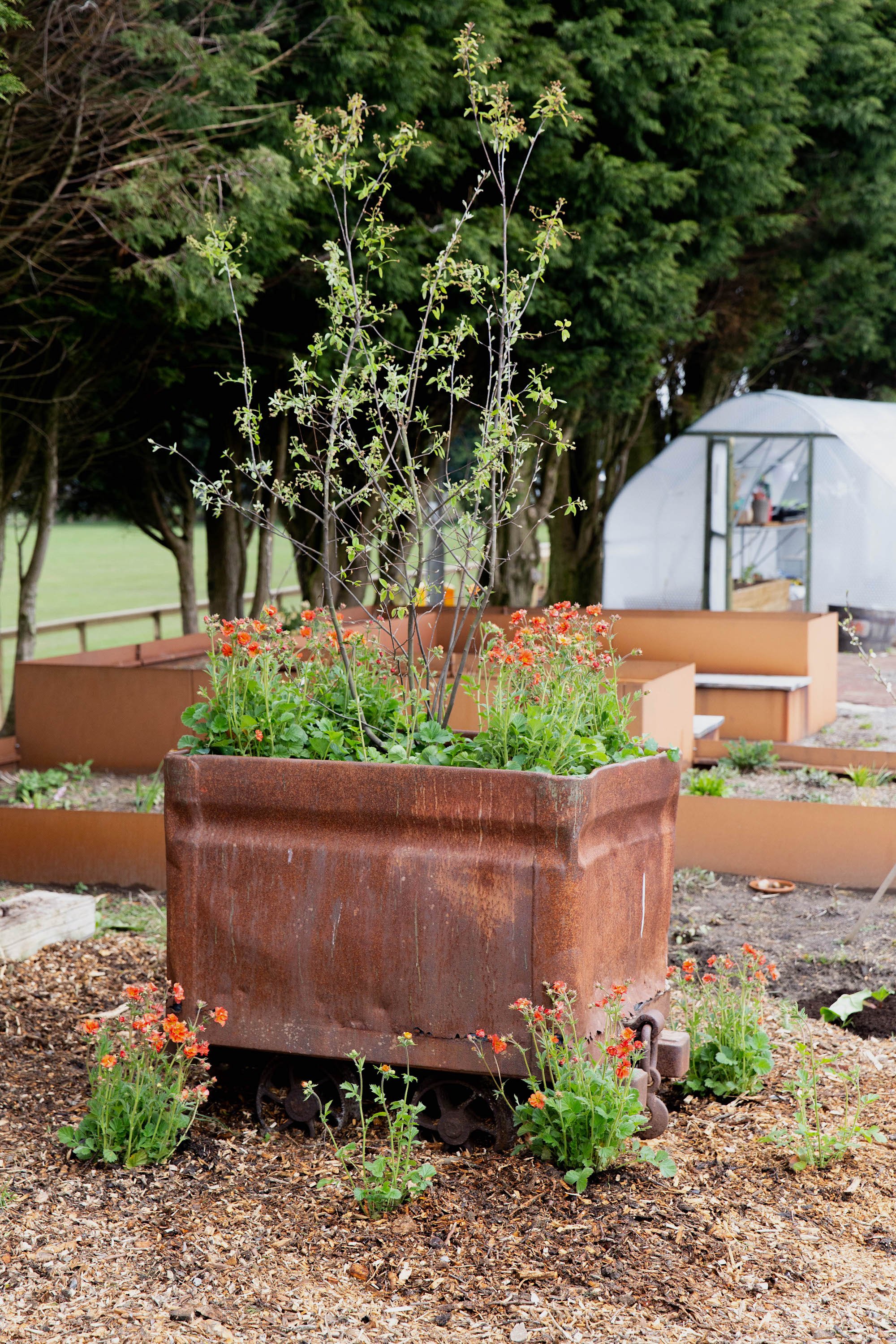 Creating a coronation container