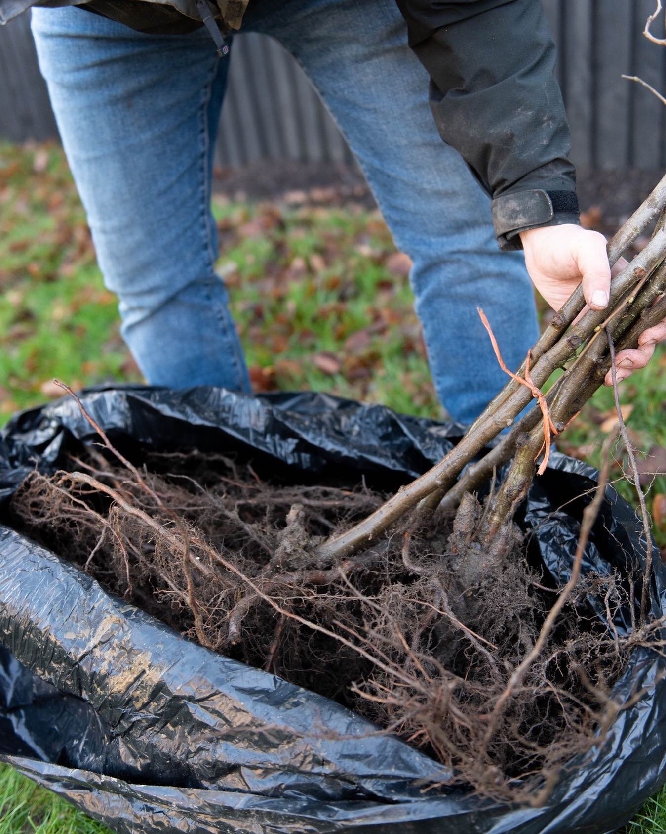 In my chat with Gareth Dauncey for his podcast (see my last post), he asked if March was especially busy for us as everyone starts to think about their gardens, but in fact we&rsquo;re fairly busy all year round! One of the things that always takes u