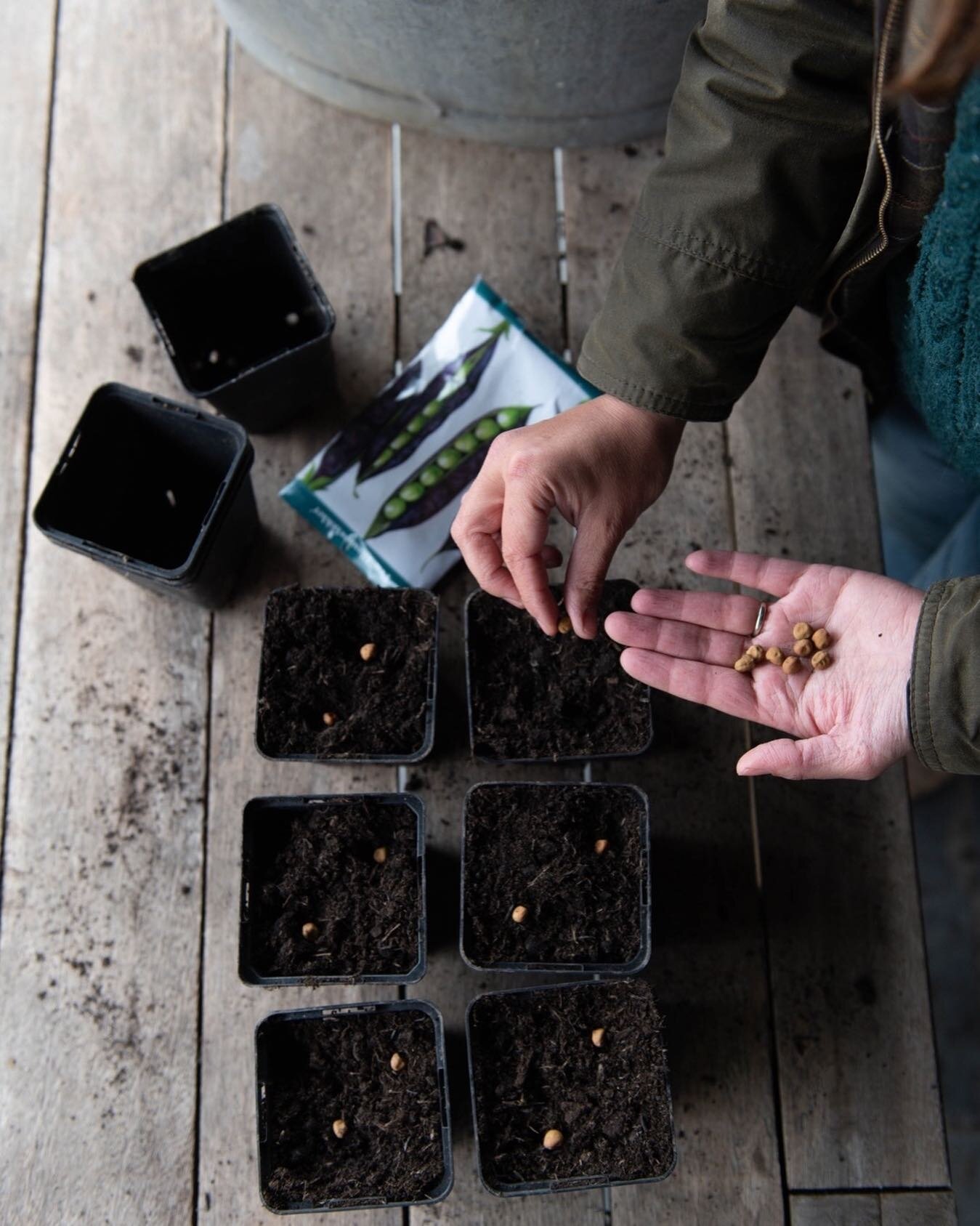 You can&rsquo;t help but notice on Instagram at the moment that everyone is sowing seeds! And, indeed, March is one of the busiest times of year for seed sowing, when Spring is just beginning and there is (hopefully!) good weather ahead. But, don&rsq