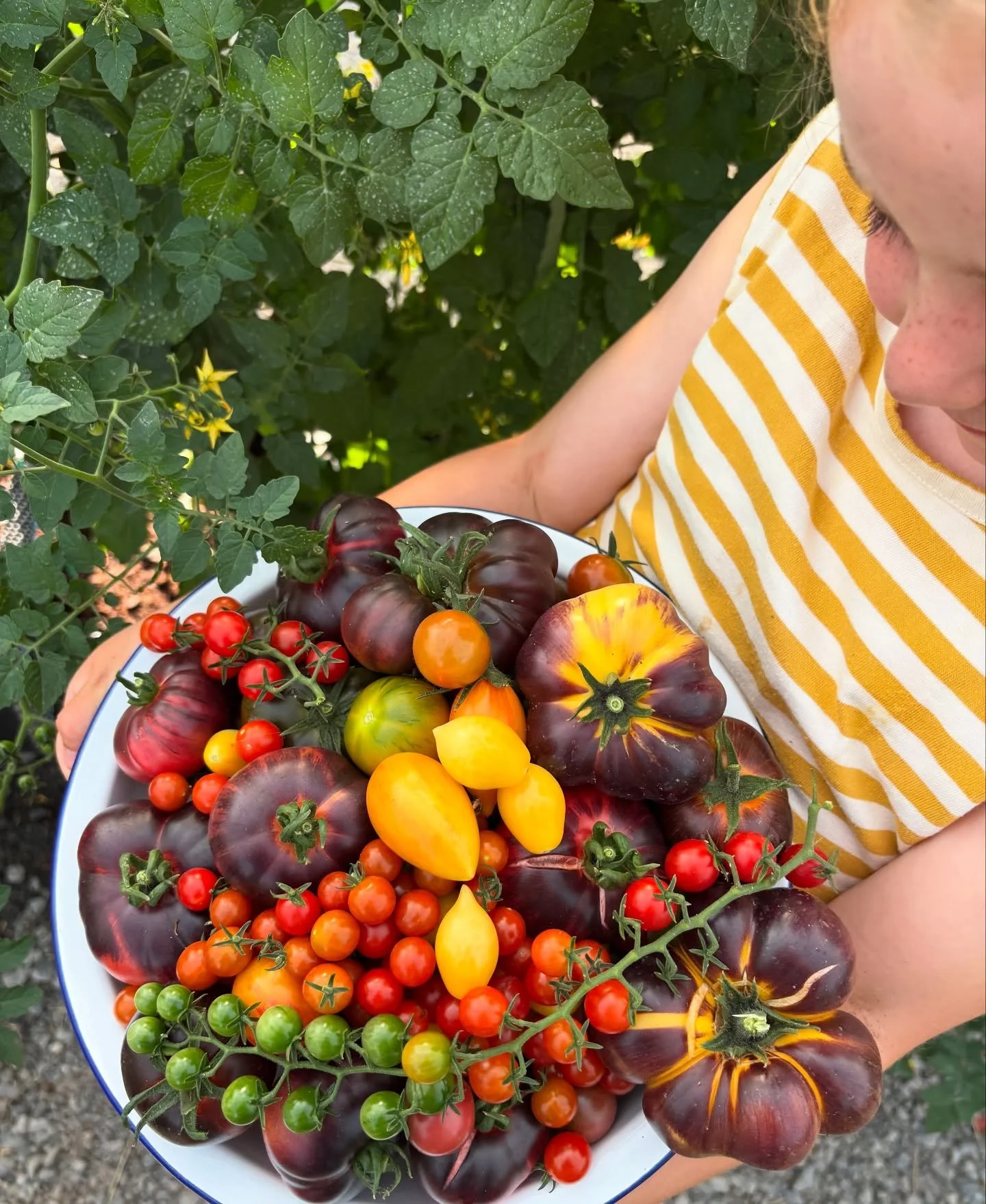 Think we may need a bigger bowl 🍅