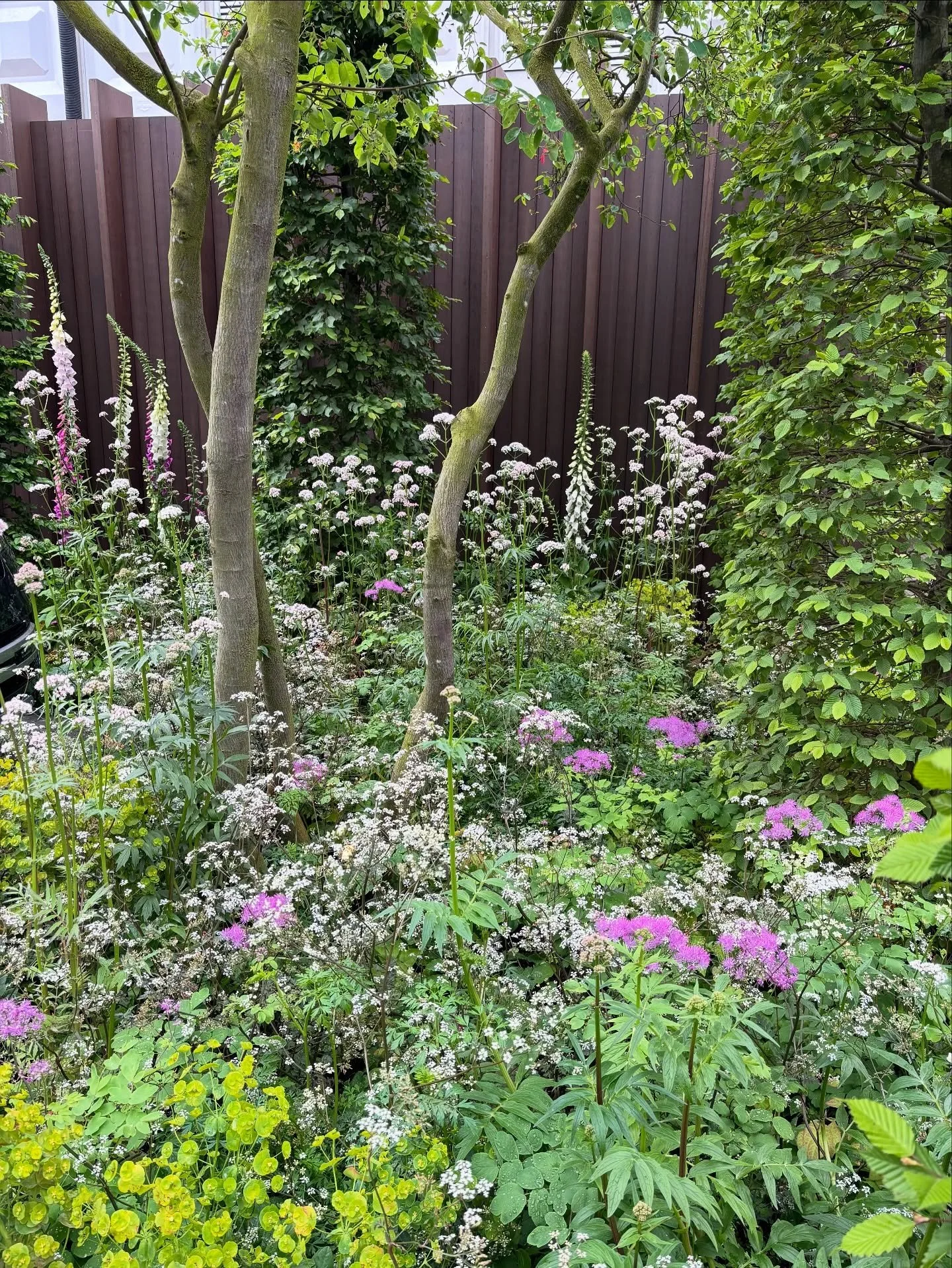 A few snaps from a wonderful day at the Chelsea Flower Show 🌿