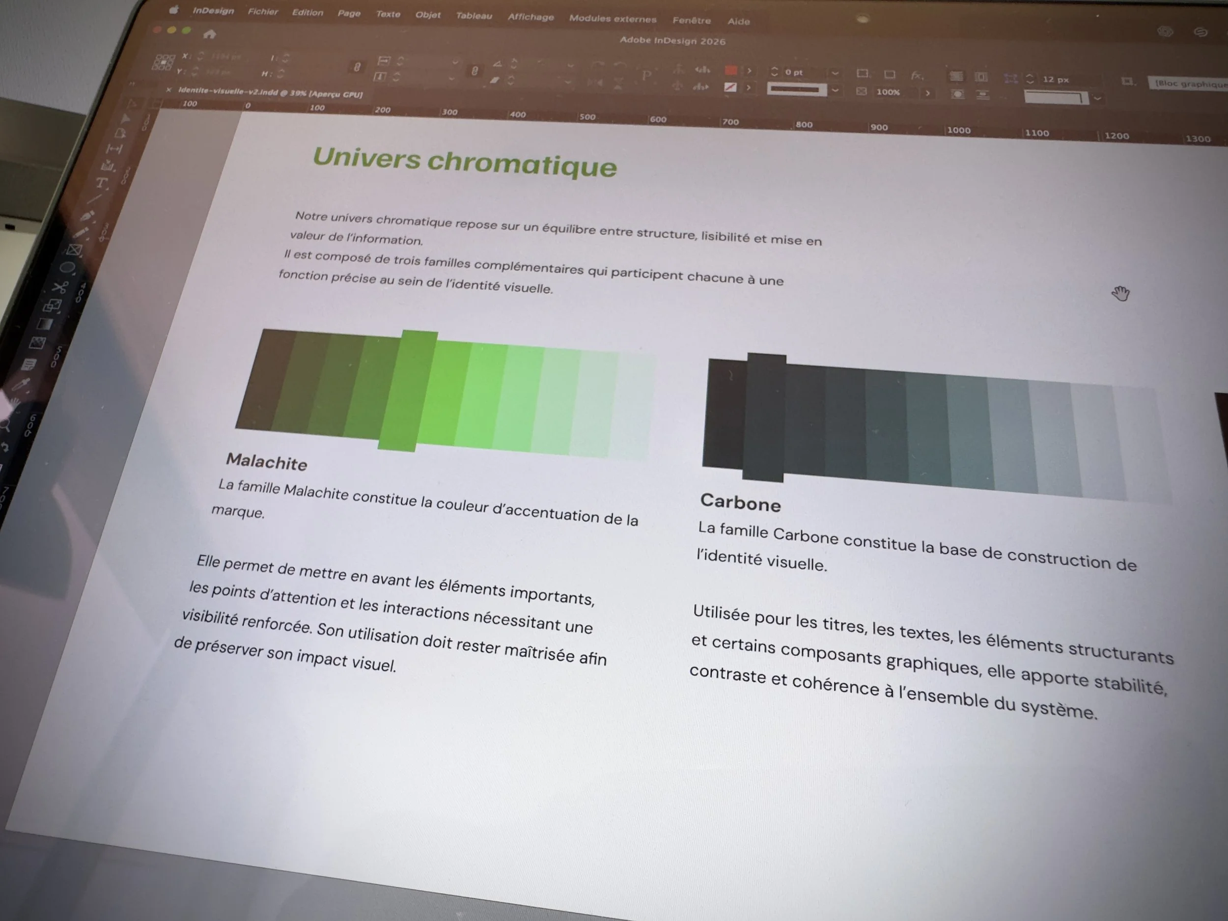 Extrait de la charte graphique de Valisol